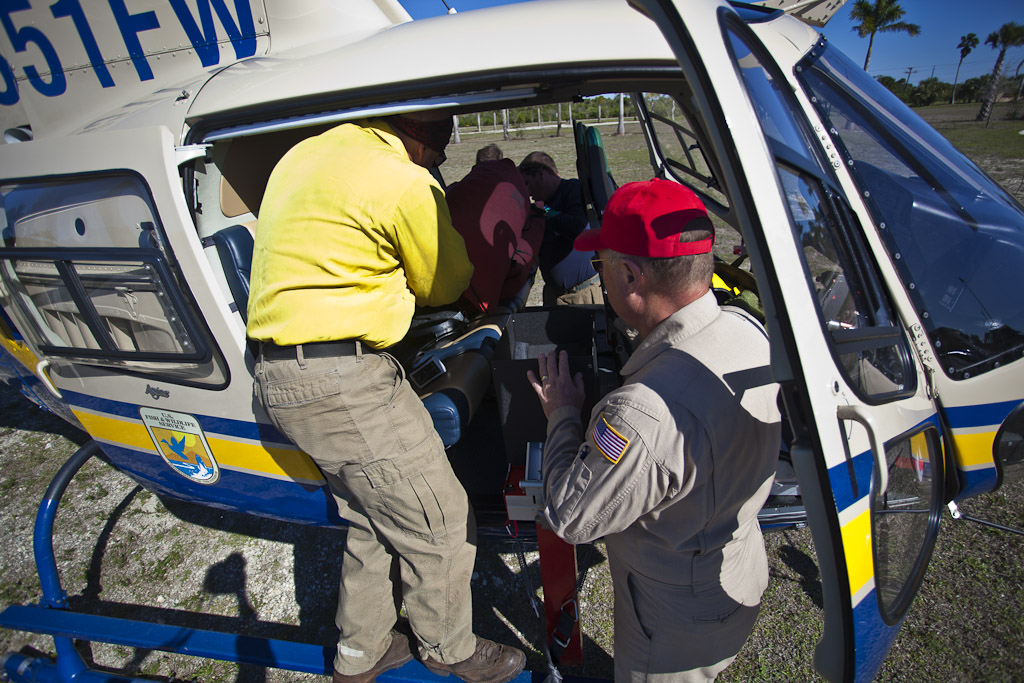 N351FW — Helicopter