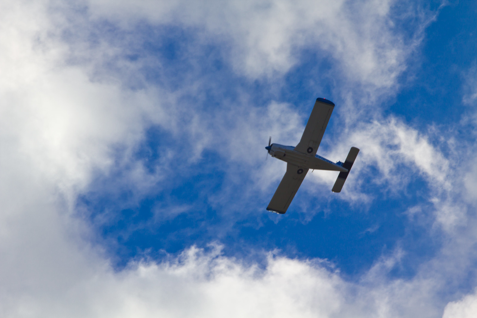 N41230 — Single-engine aircraft