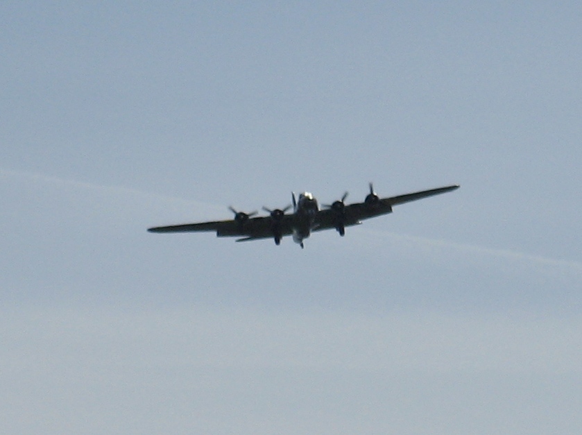  — Warbird