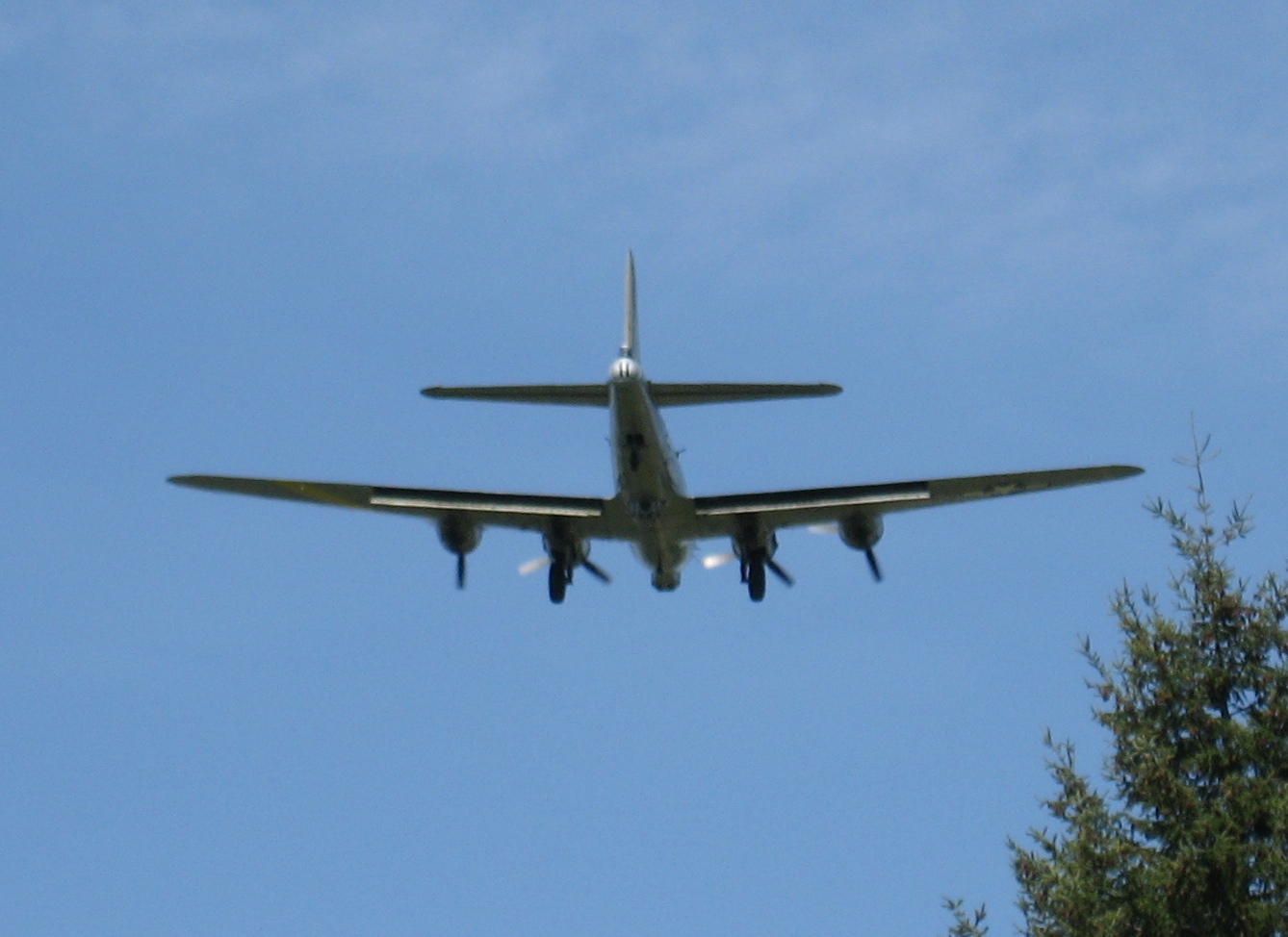  — Warbird
