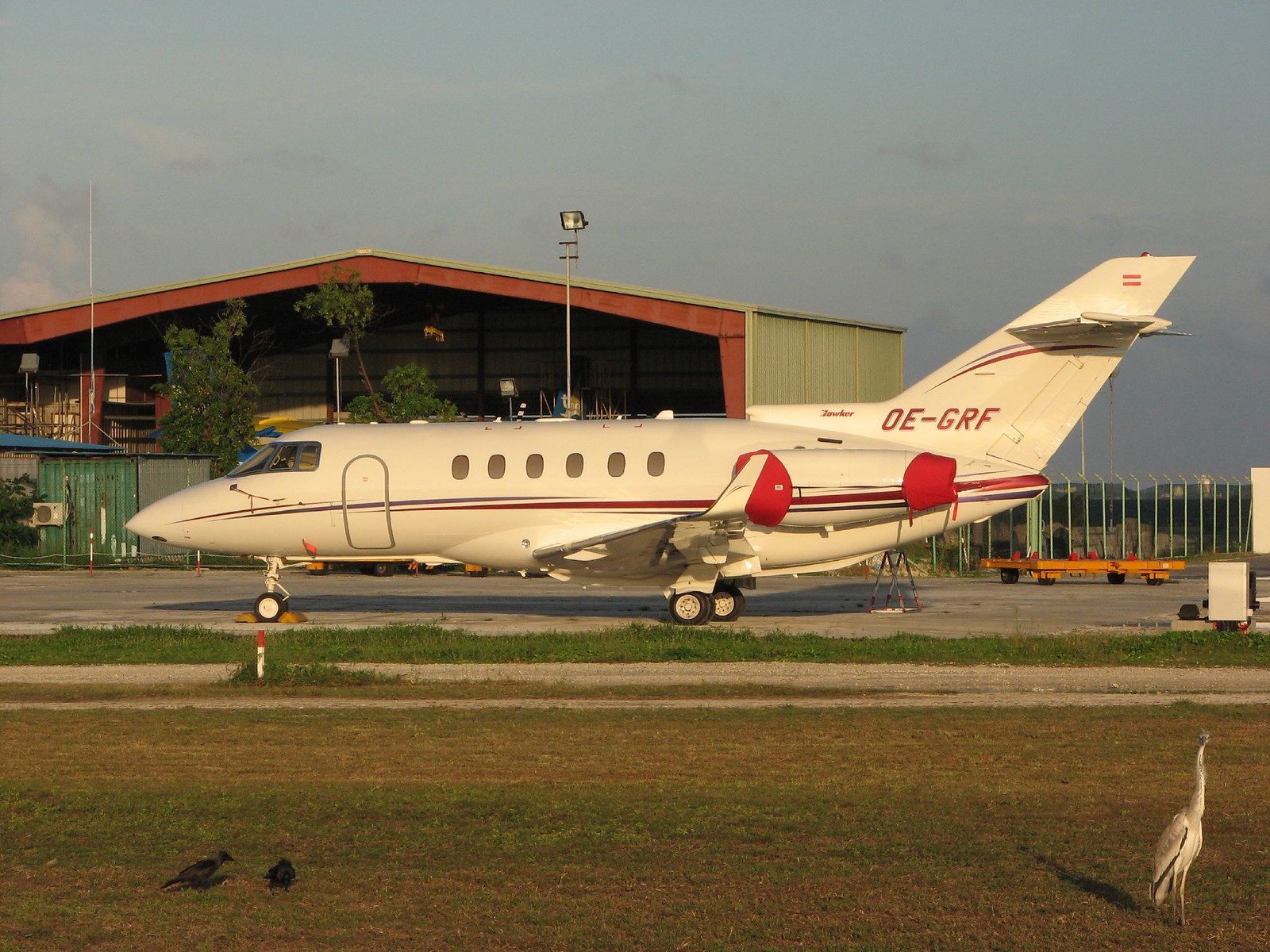 OE-GRF — Business jet