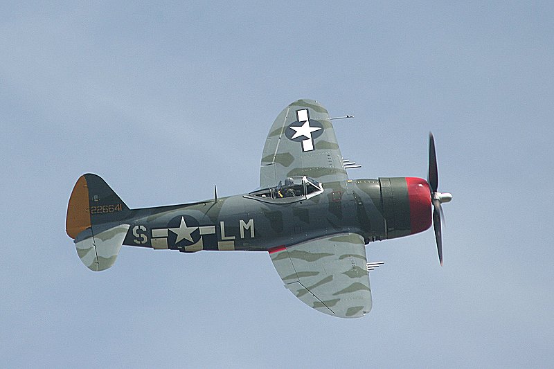  — Warbird