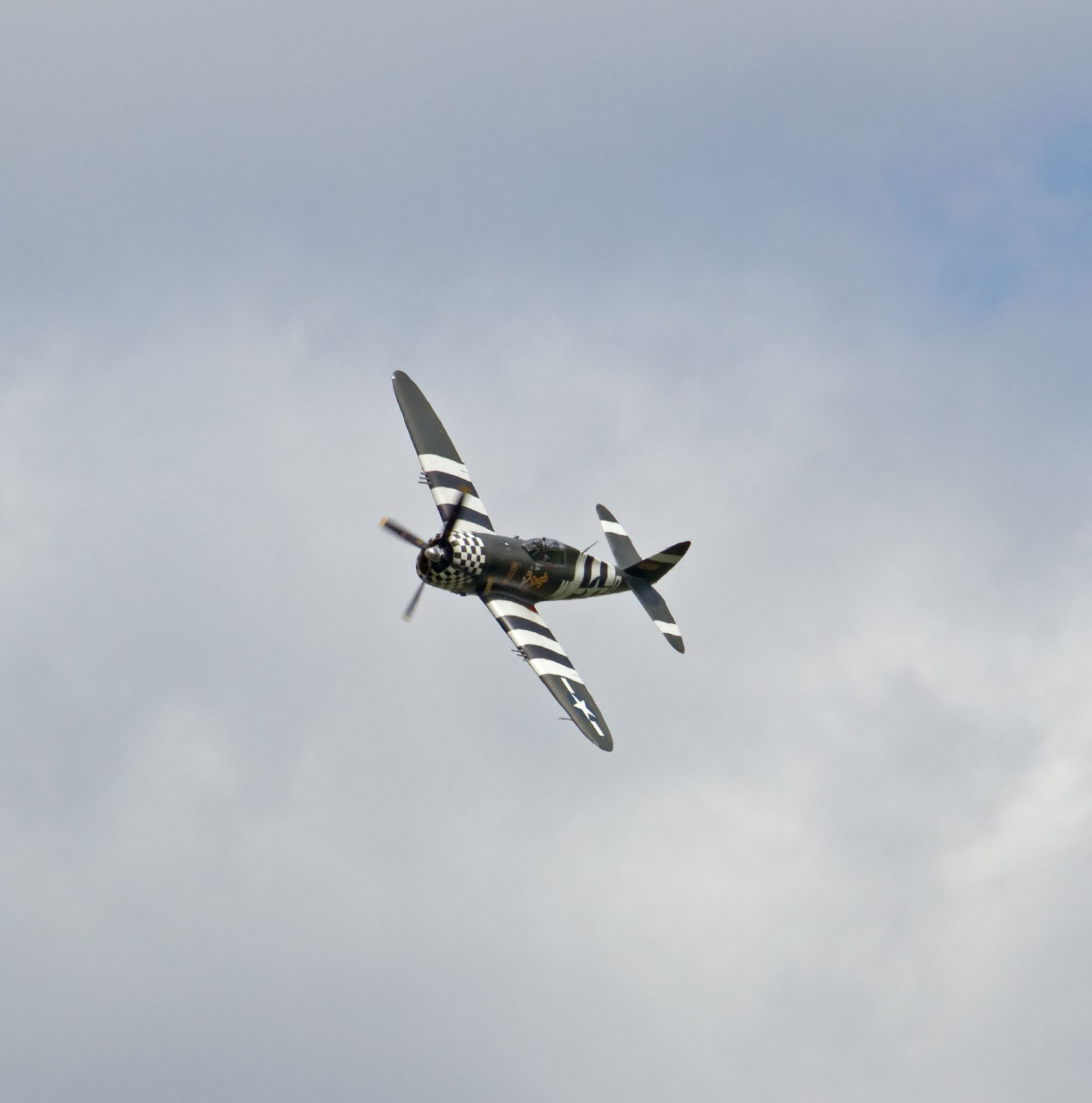  — Warbird