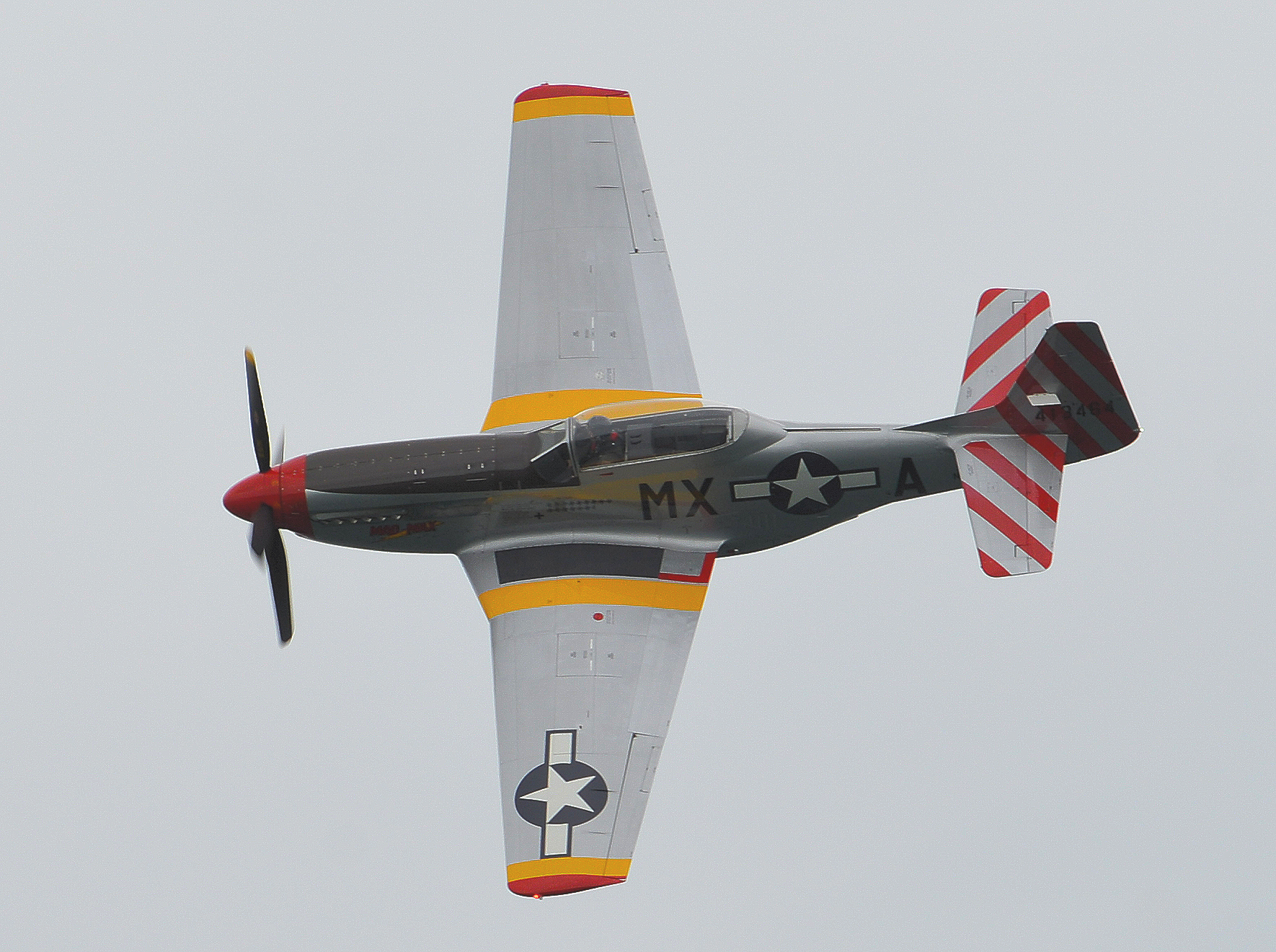  — Warbird