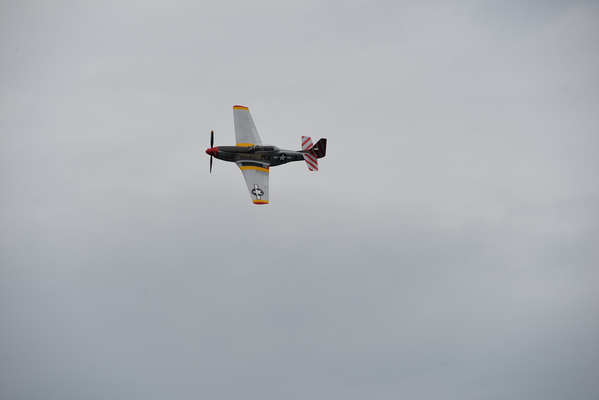  — Warbird