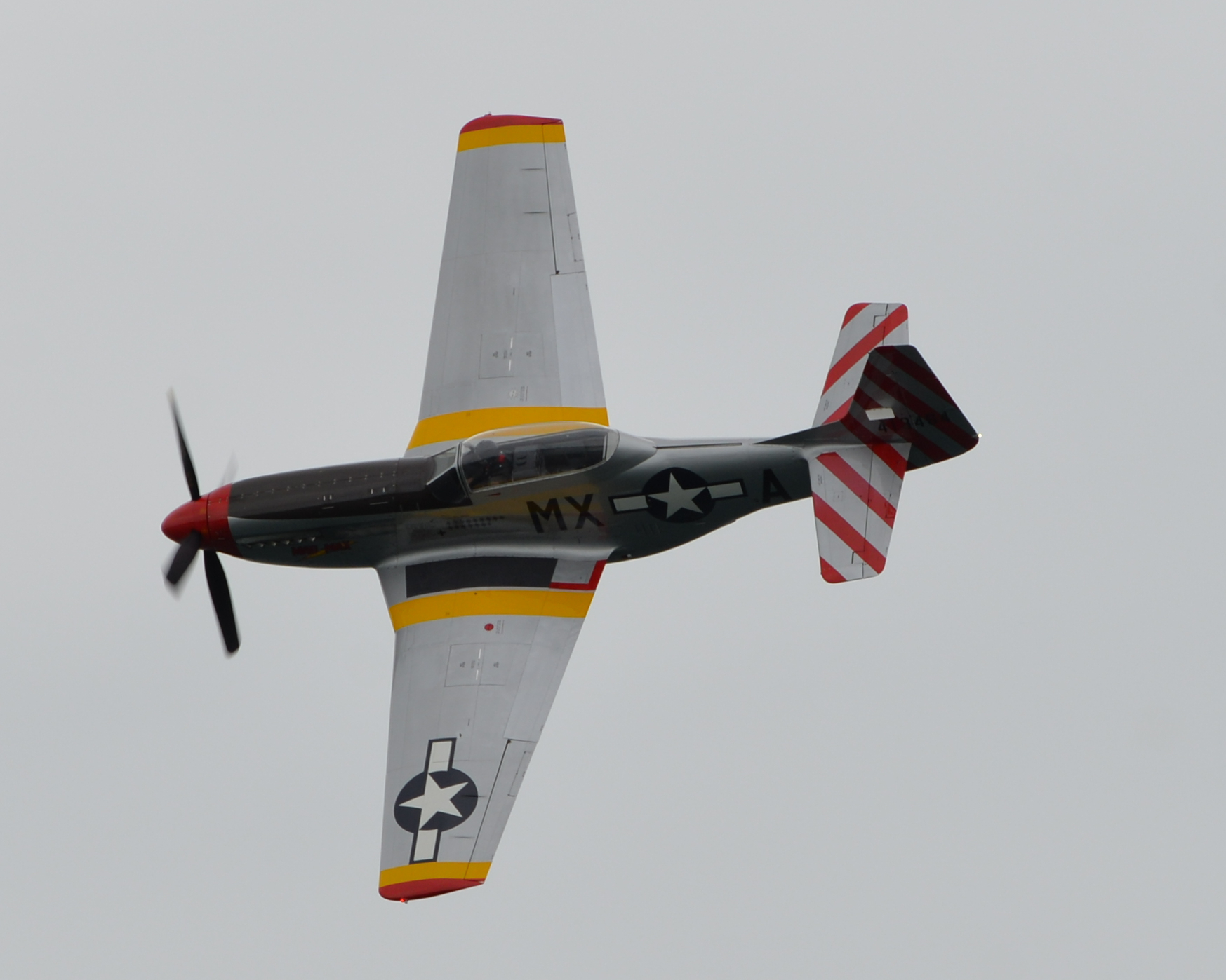 — Warbird