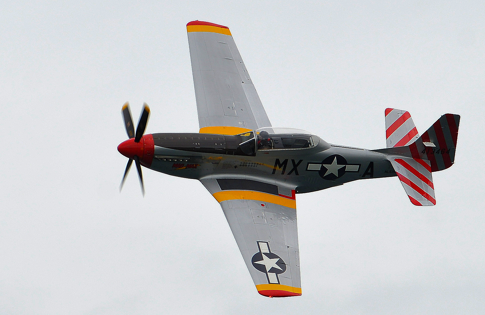  — Warbird