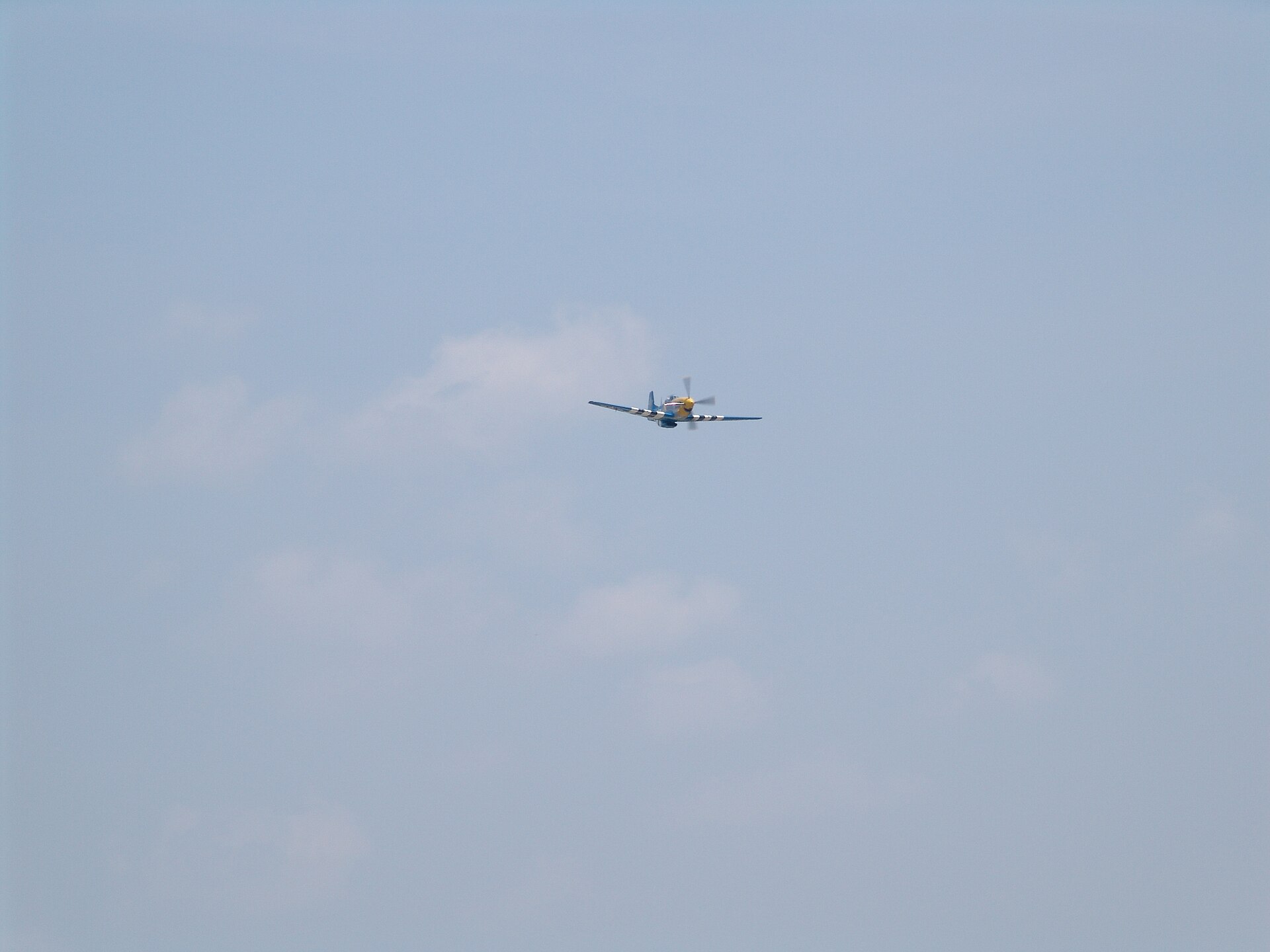  — Warbird