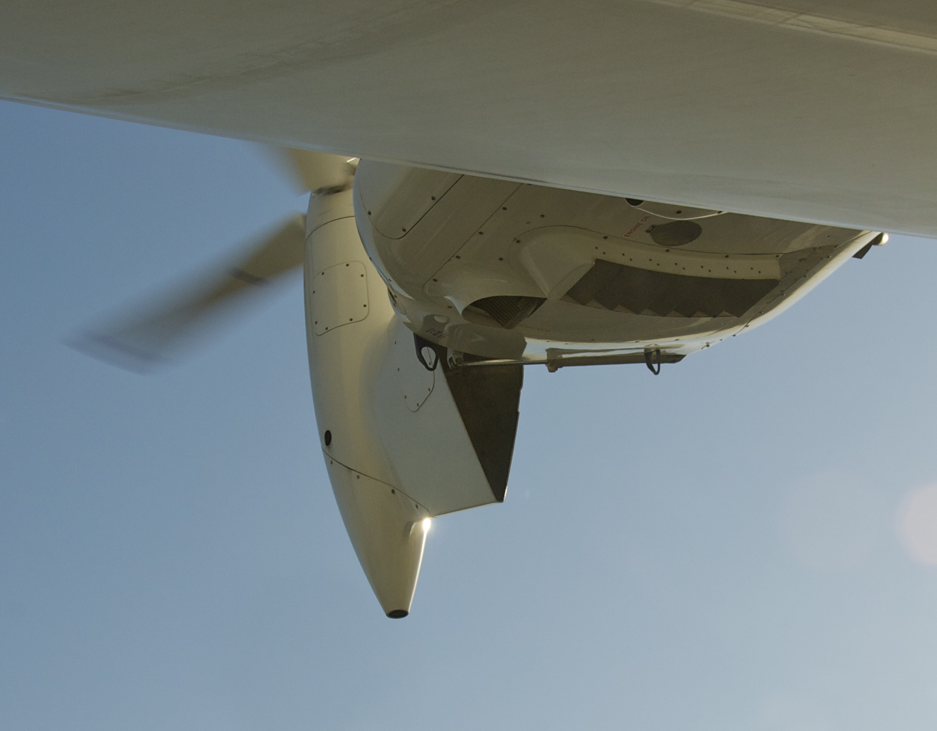 N704LZ — Single-engine aircraft