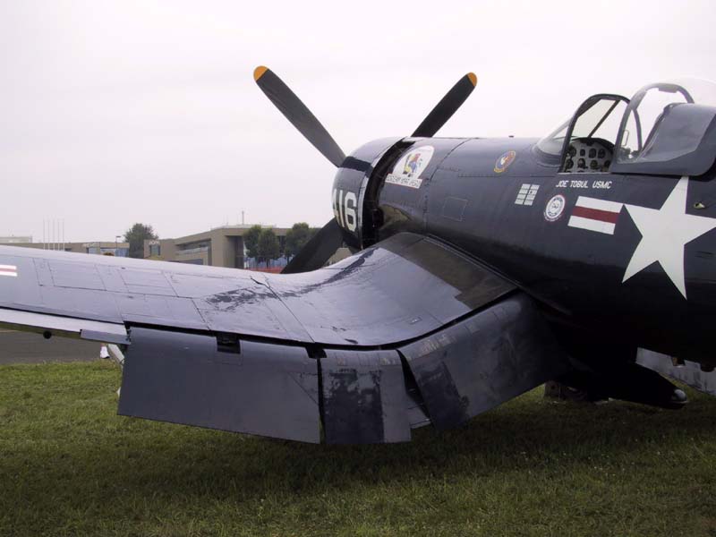  — Warbird