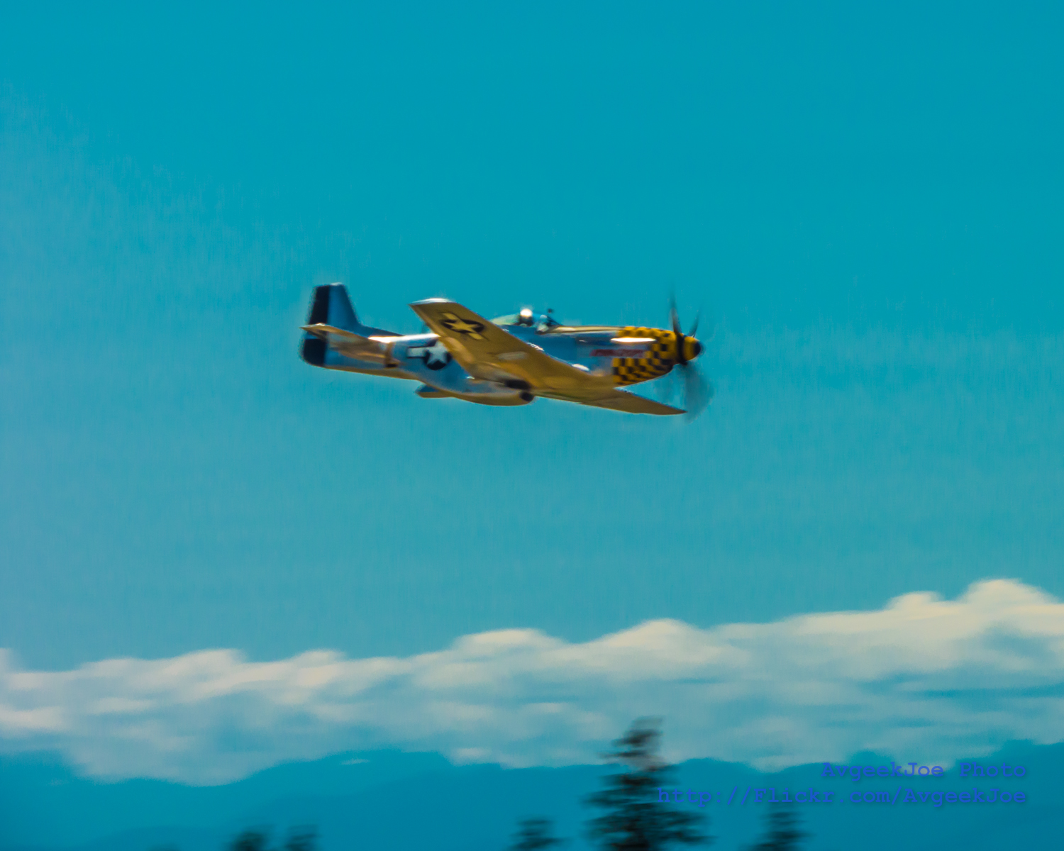  — Warbird