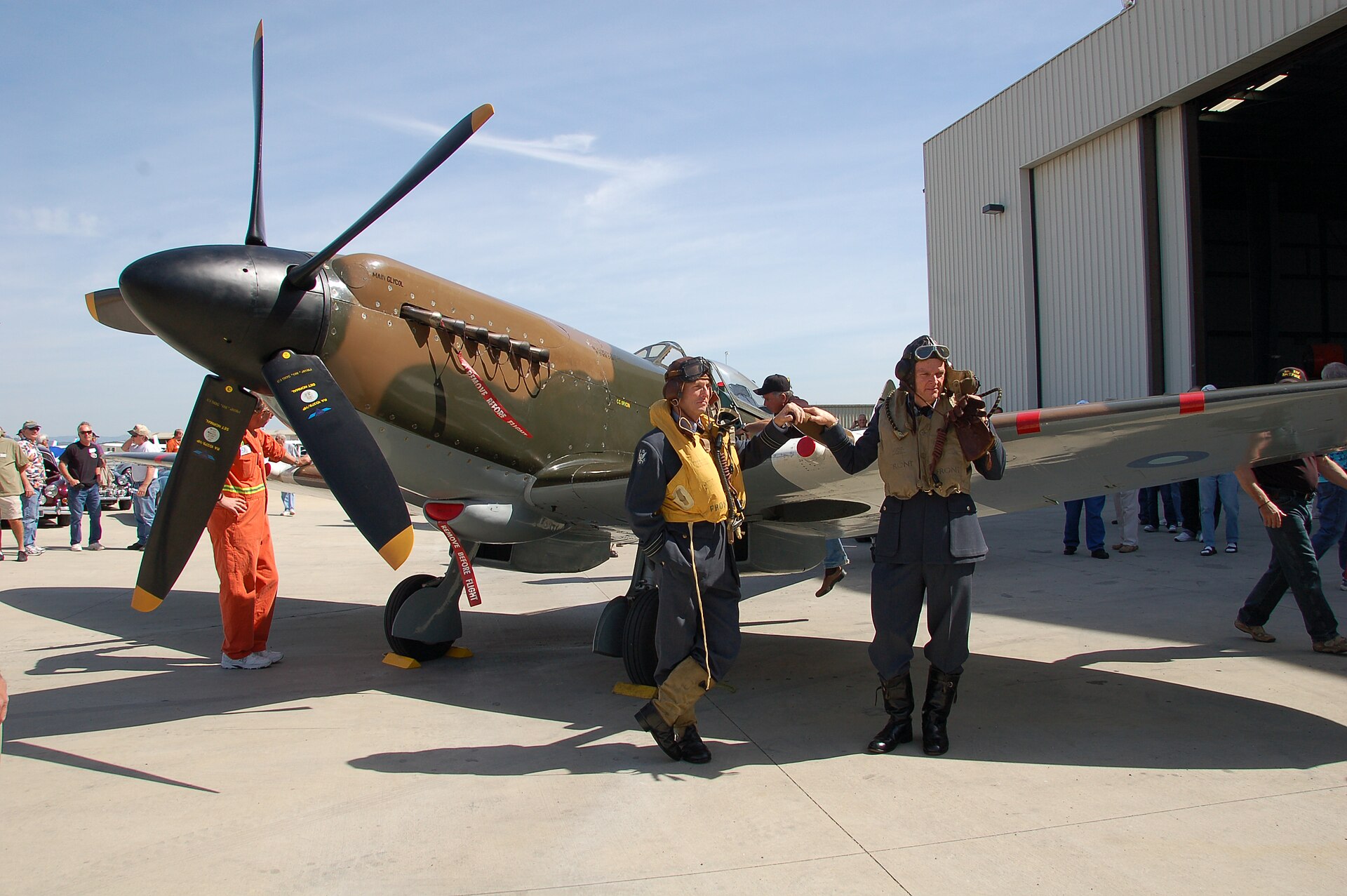— Warbird