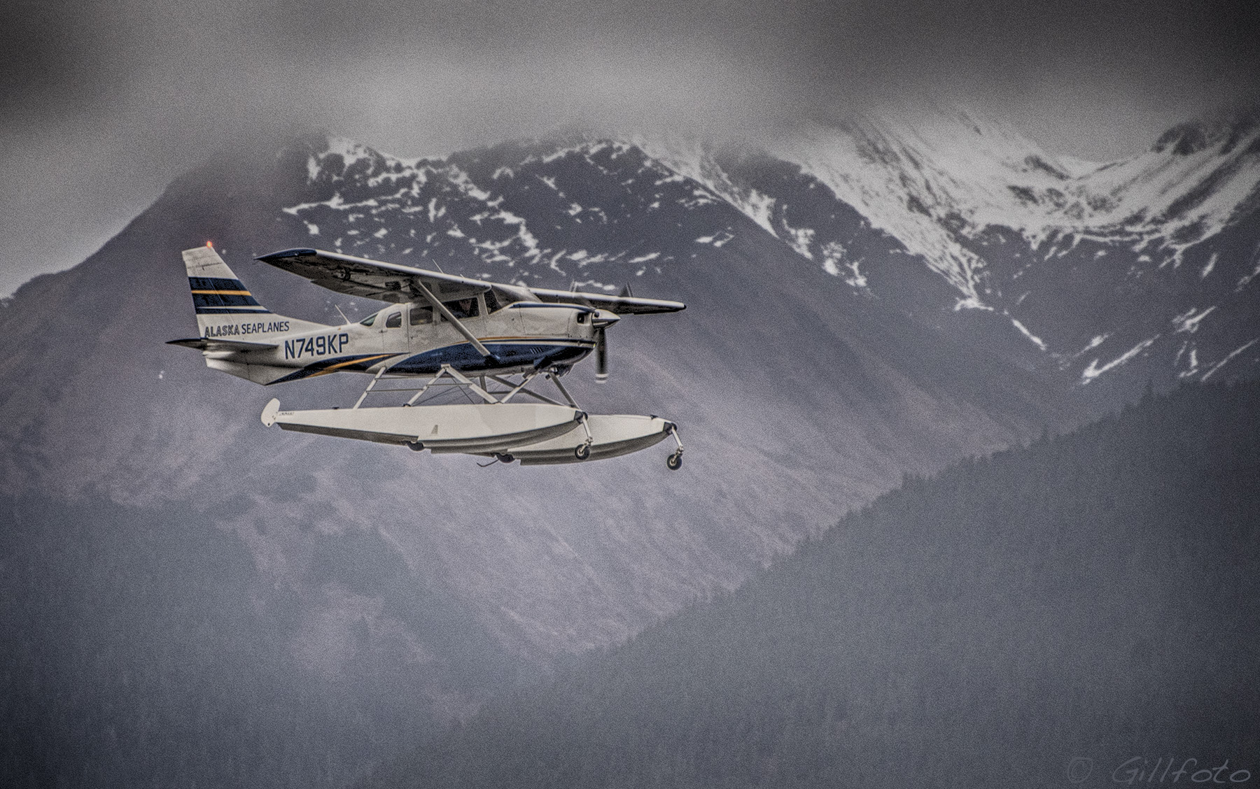 N749KP — Single-engine aircraft