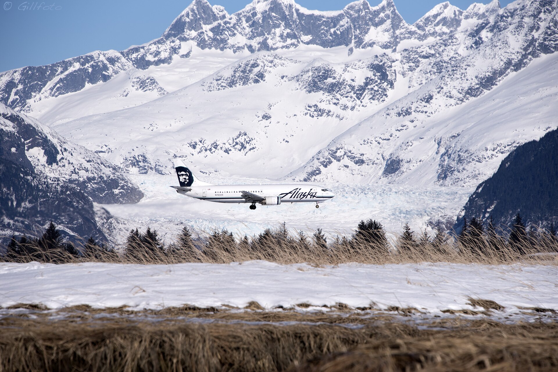 Gillfoto's best shot — N763AS