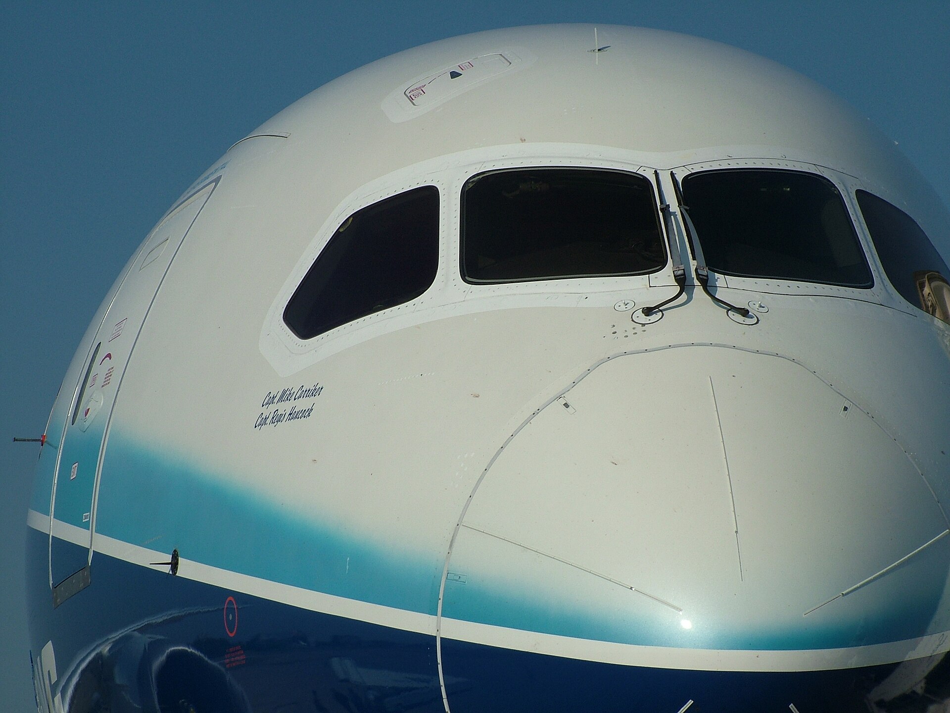 N787BA — Business jet