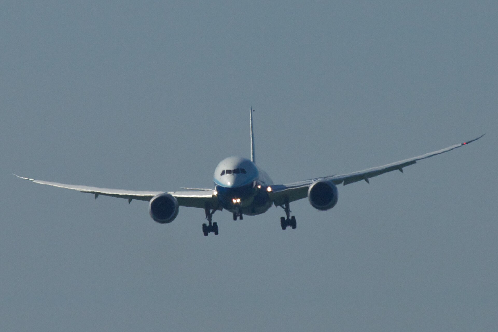 N787BA — Twin-engine aircraft