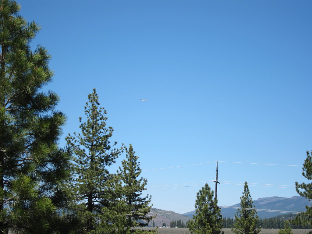 N3981C — Glider