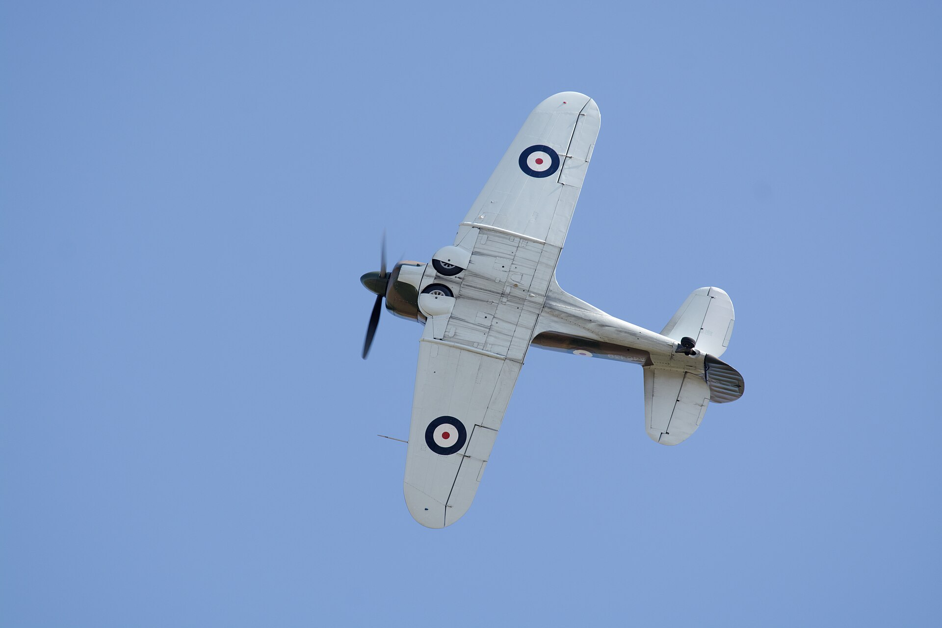  — Warbird