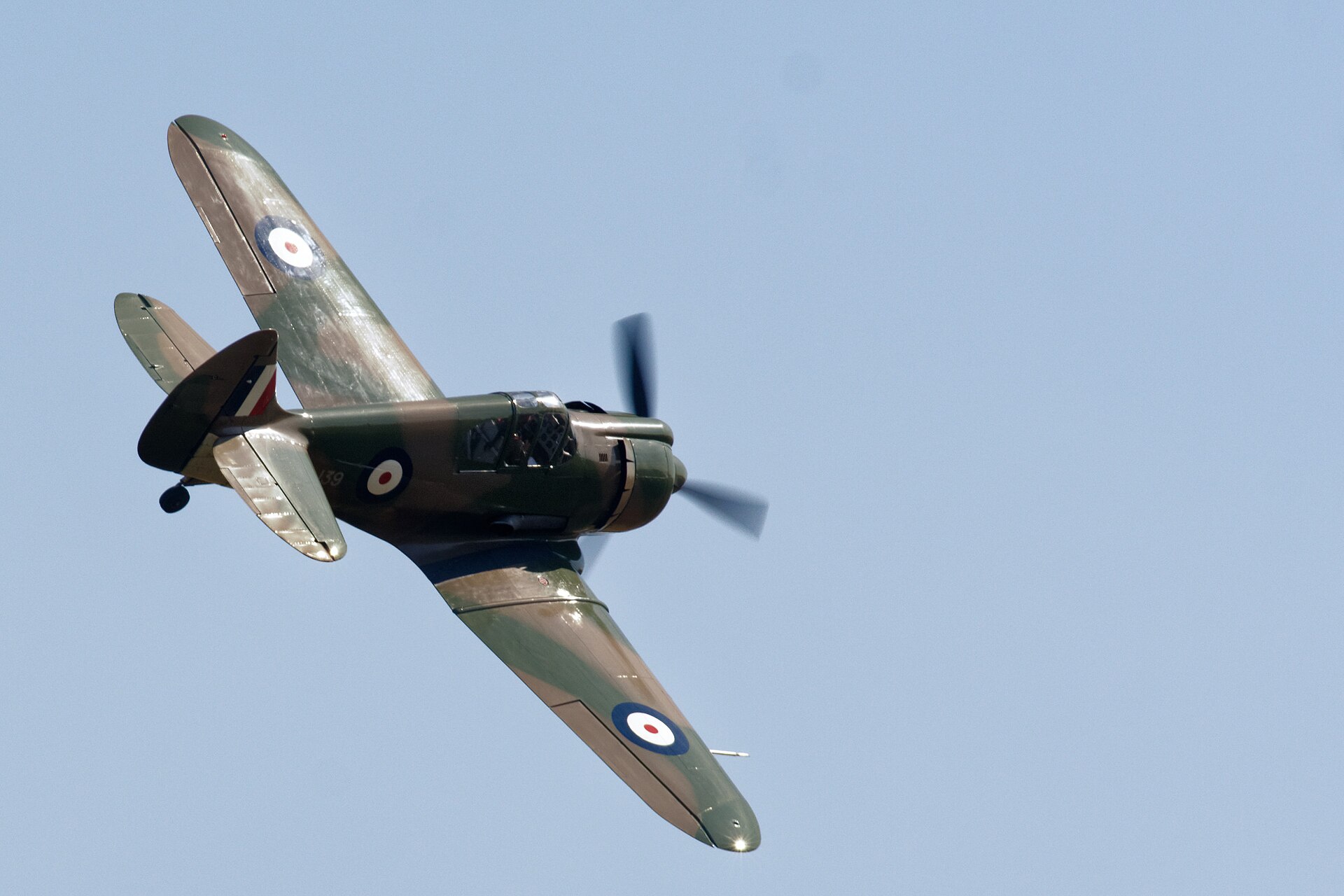 — Warbird