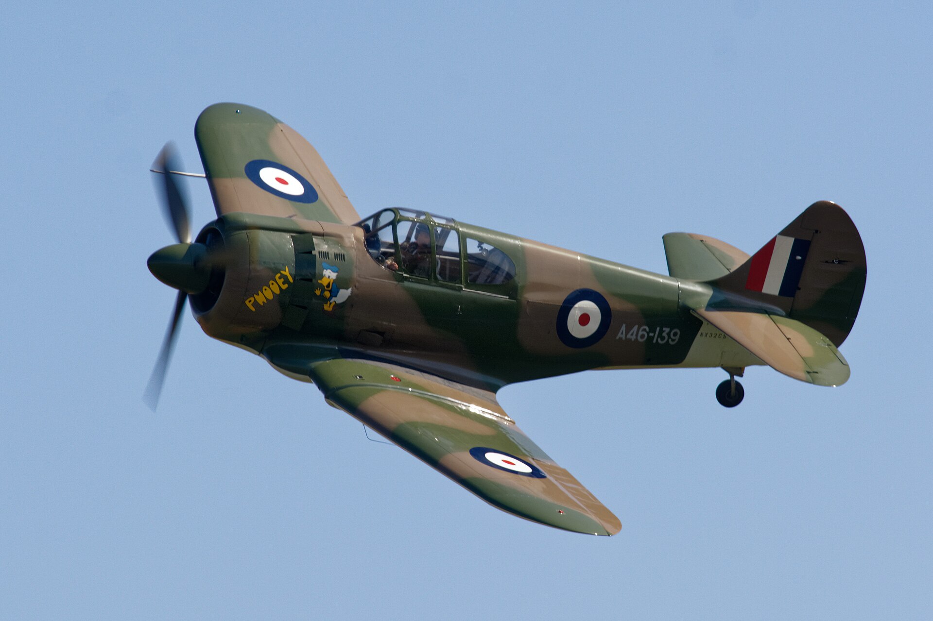  — Warbird