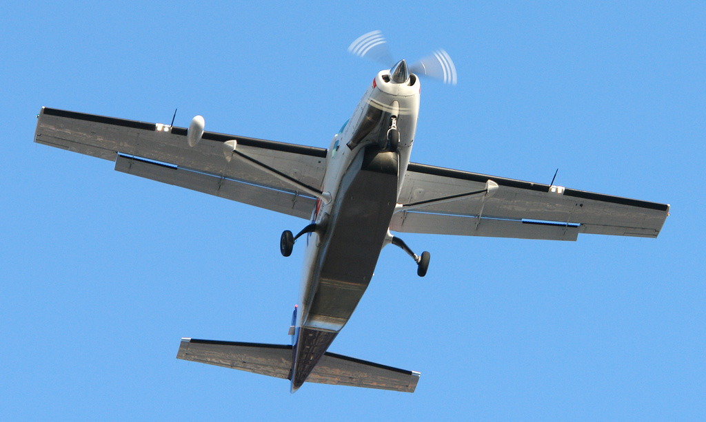 P. Alejandro Diaz's best shot — N886FE