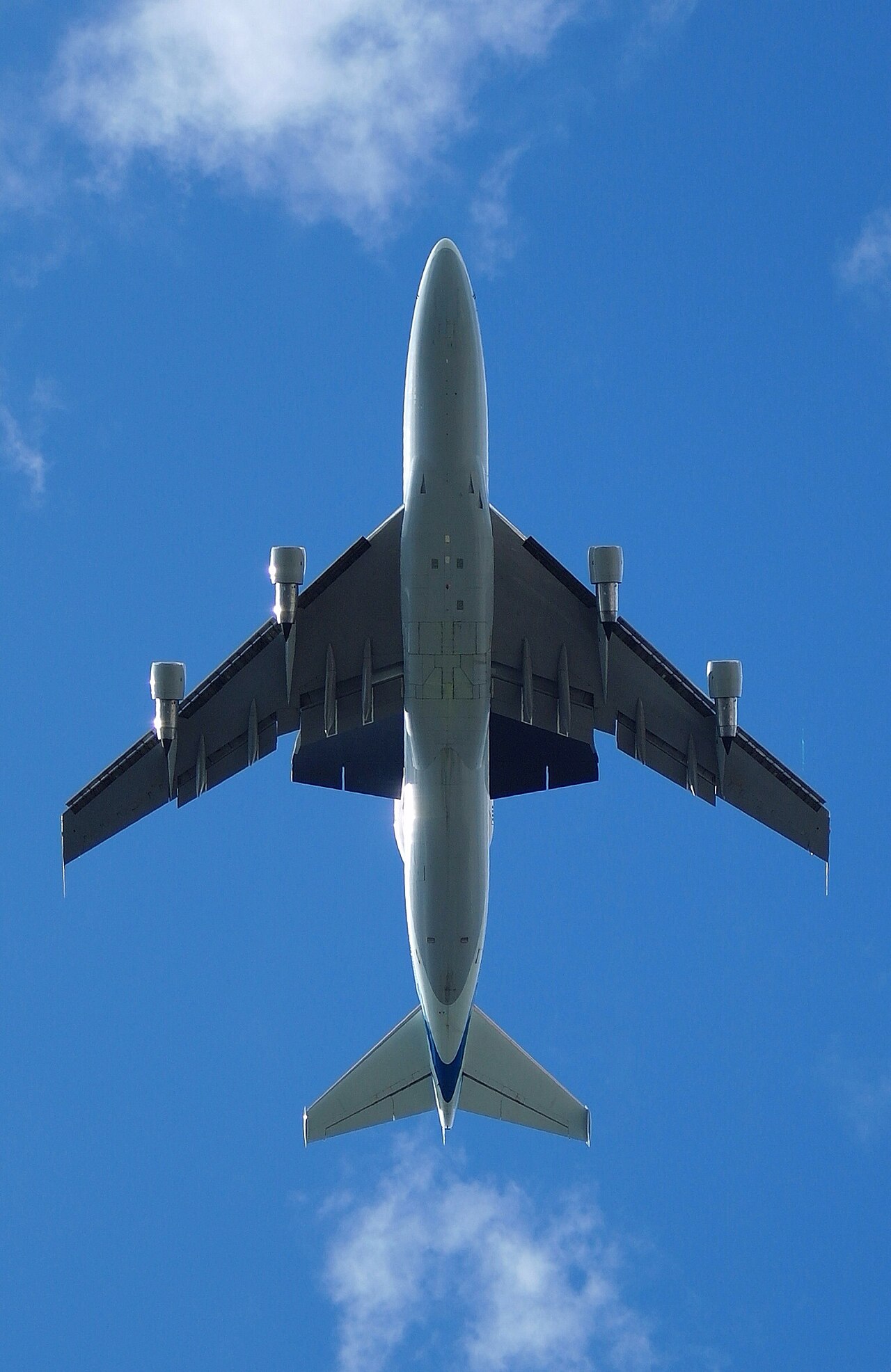 Alec Perkins's best shot — N905NA