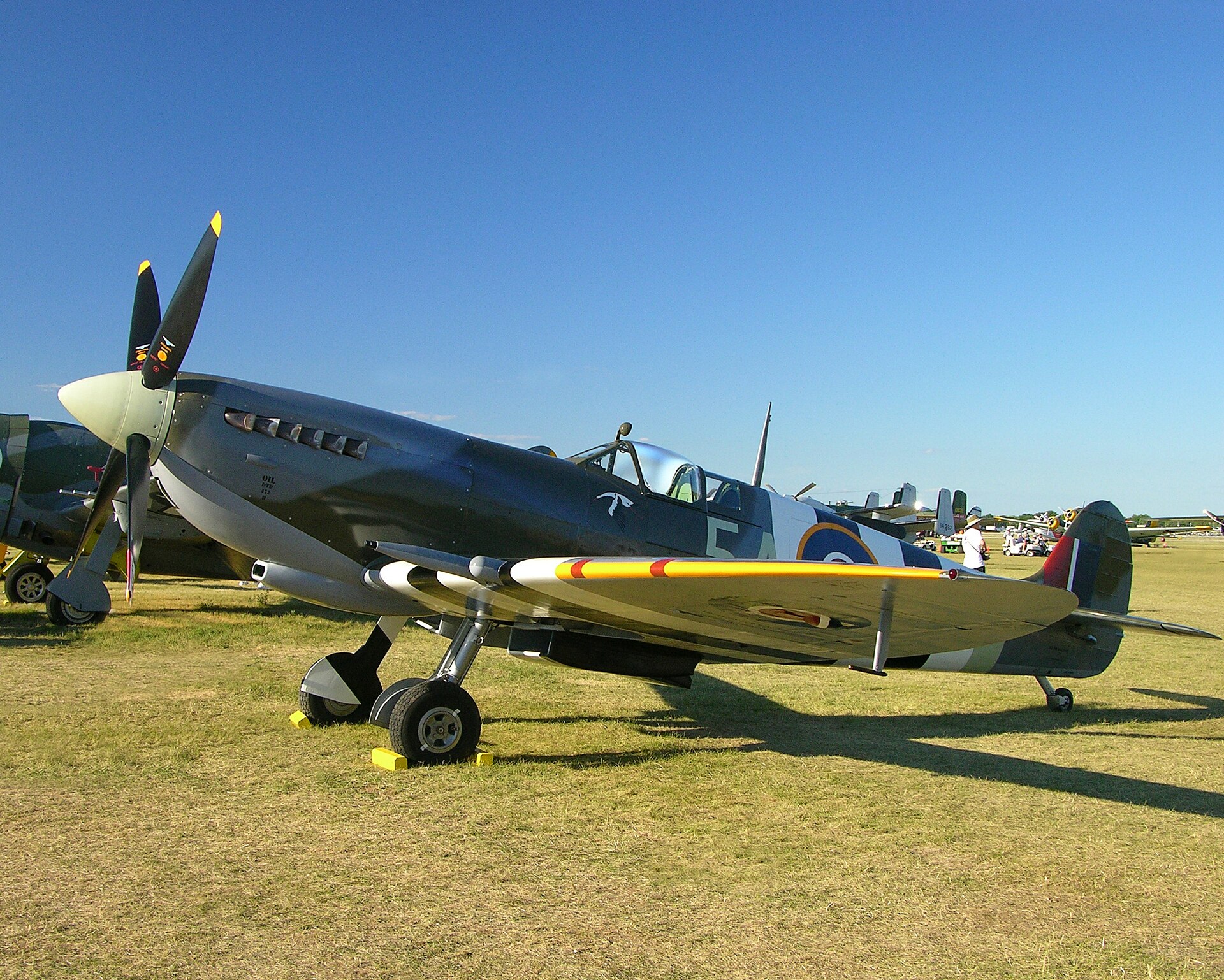  — Warbird