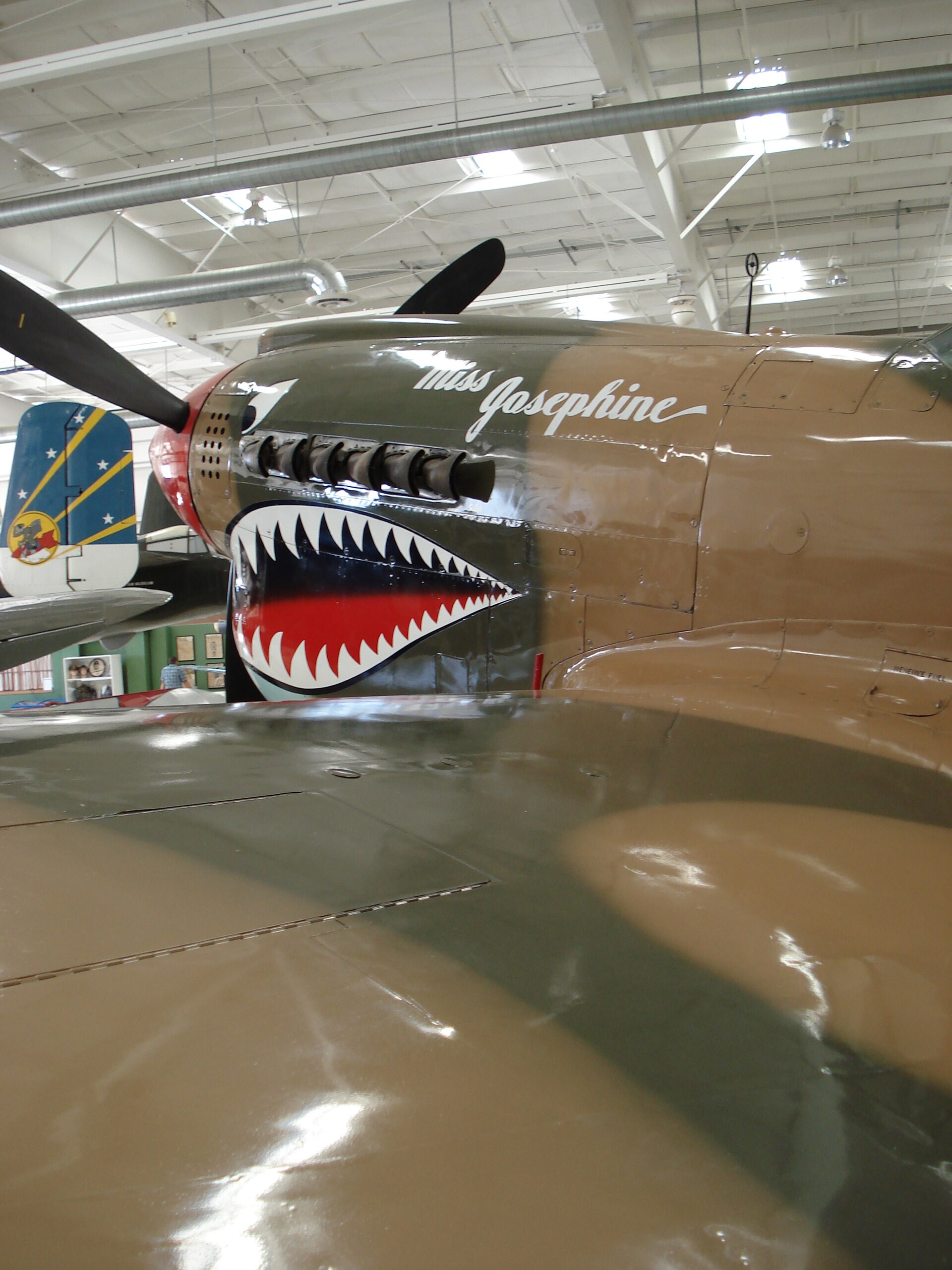  — Single-engine aircraft