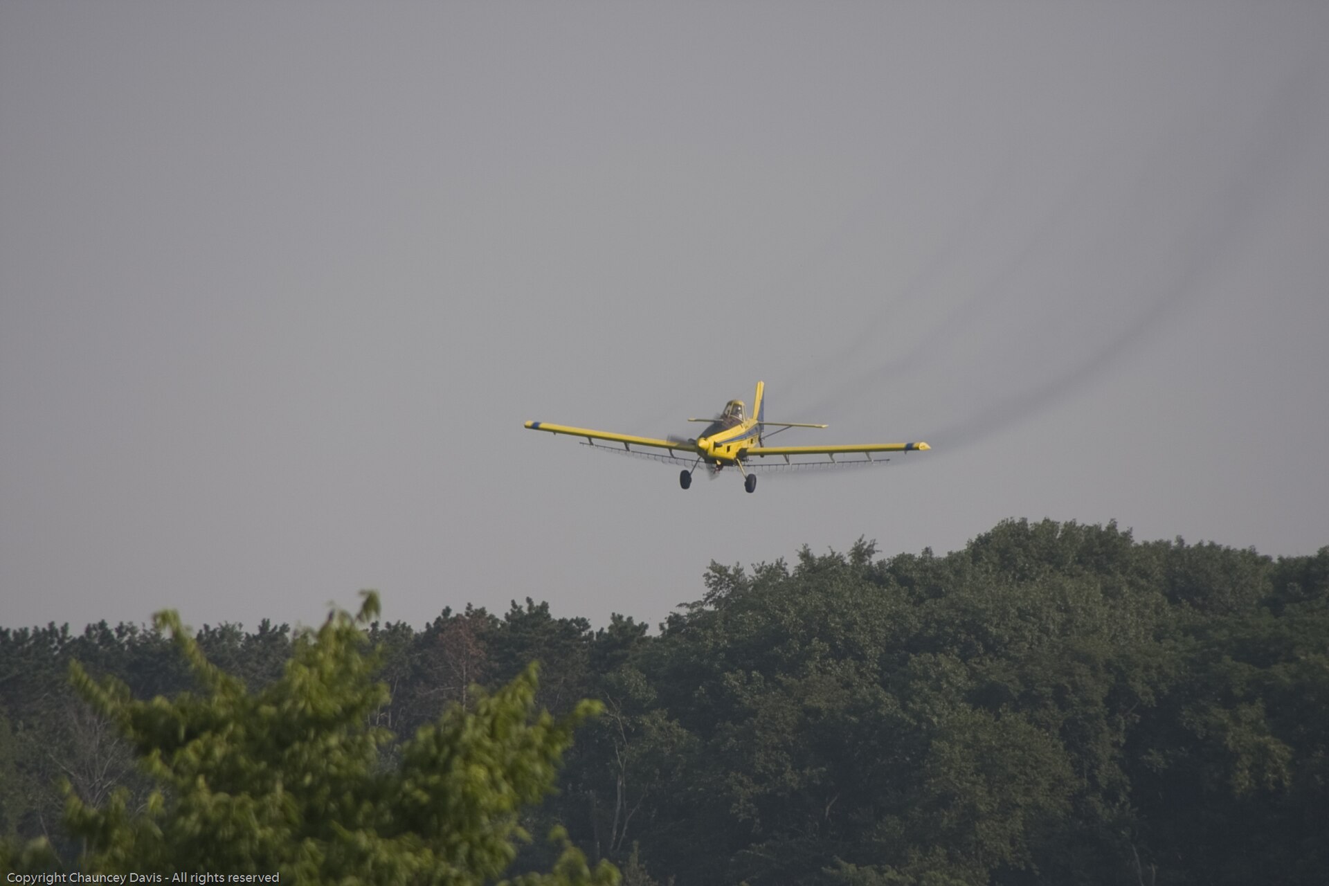chaunceydavis818's best shot — N1531G