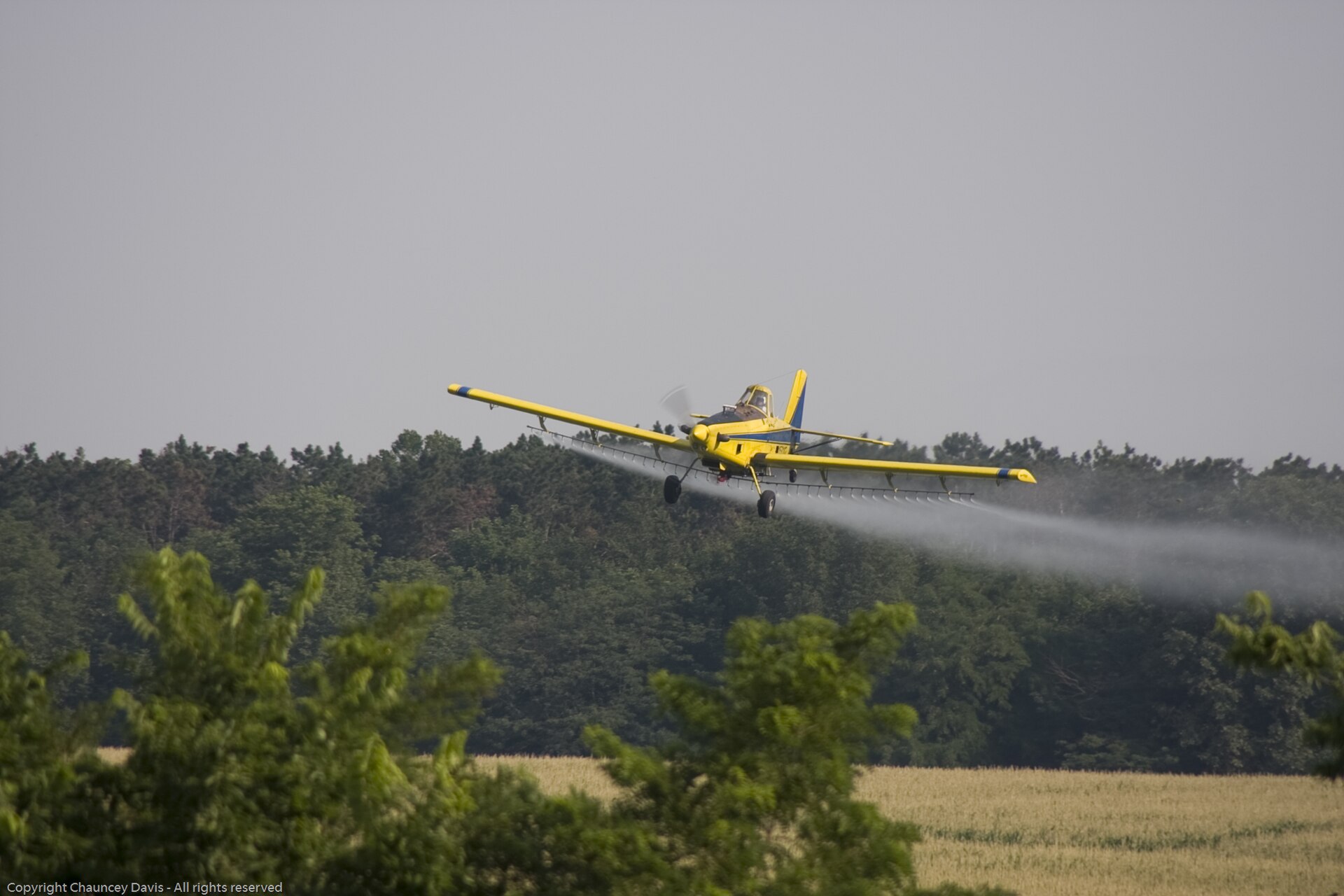 N1531G — Single-engine aircraft