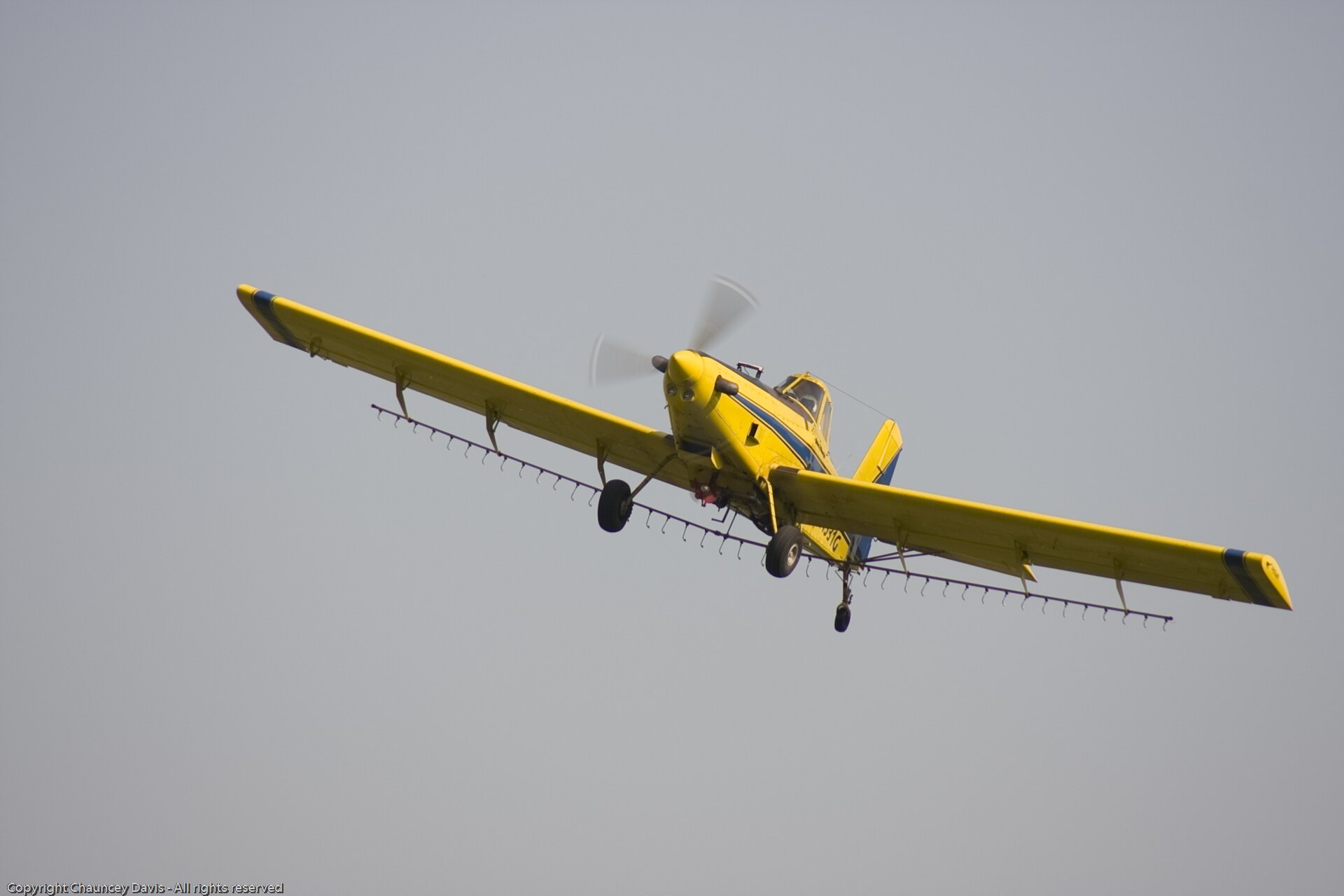 N1531G — Single-engine aircraft