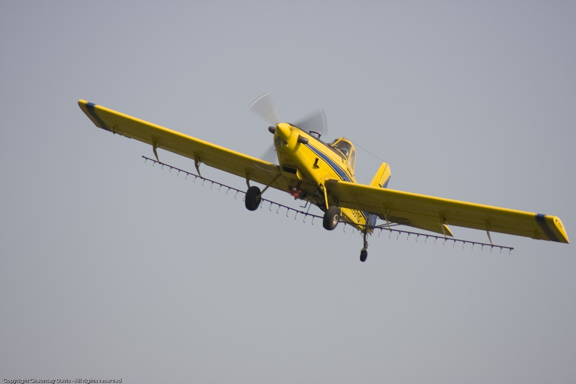 N1531G — Single-engine aircraft