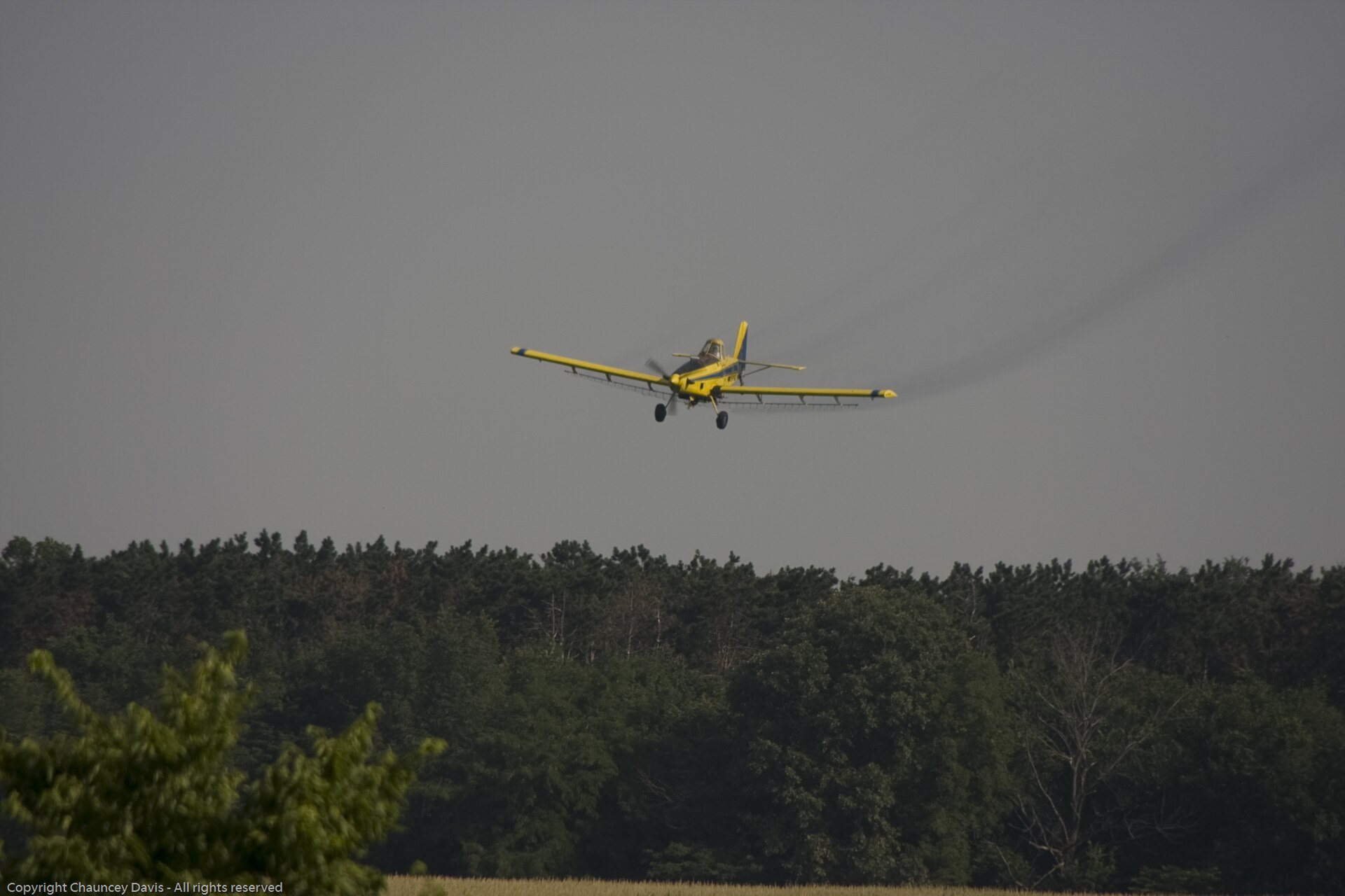 N1531G — Single-engine aircraft