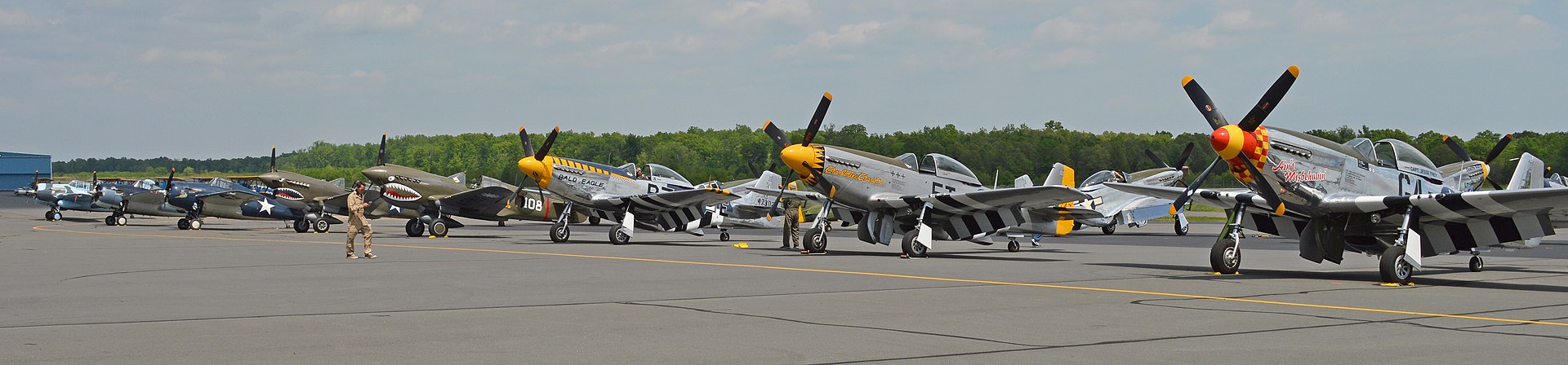 N5833 — Warbird