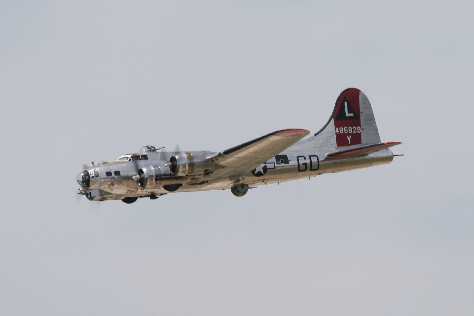 — Warbird