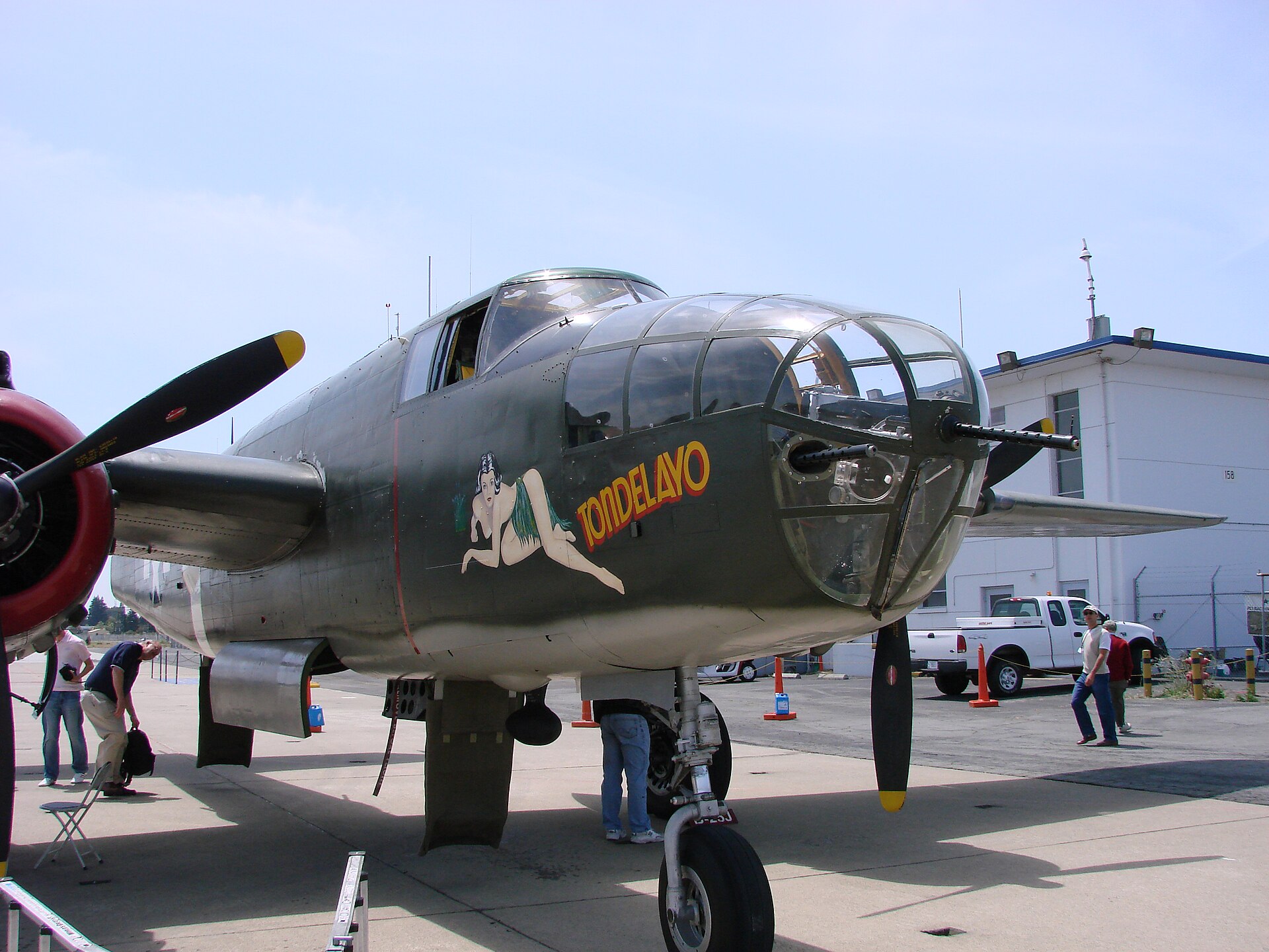  — Warbird