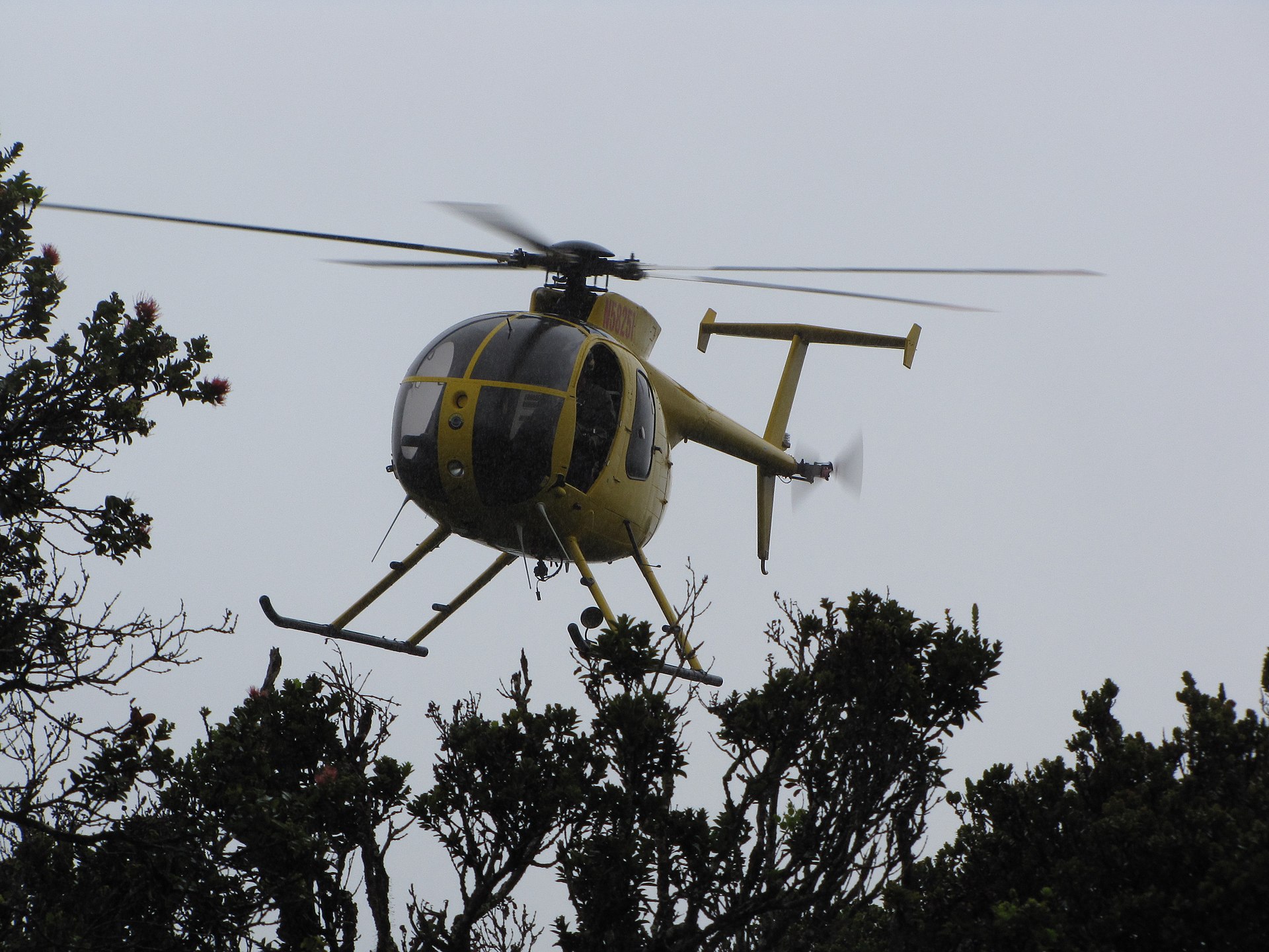 N58251 — Helicopter