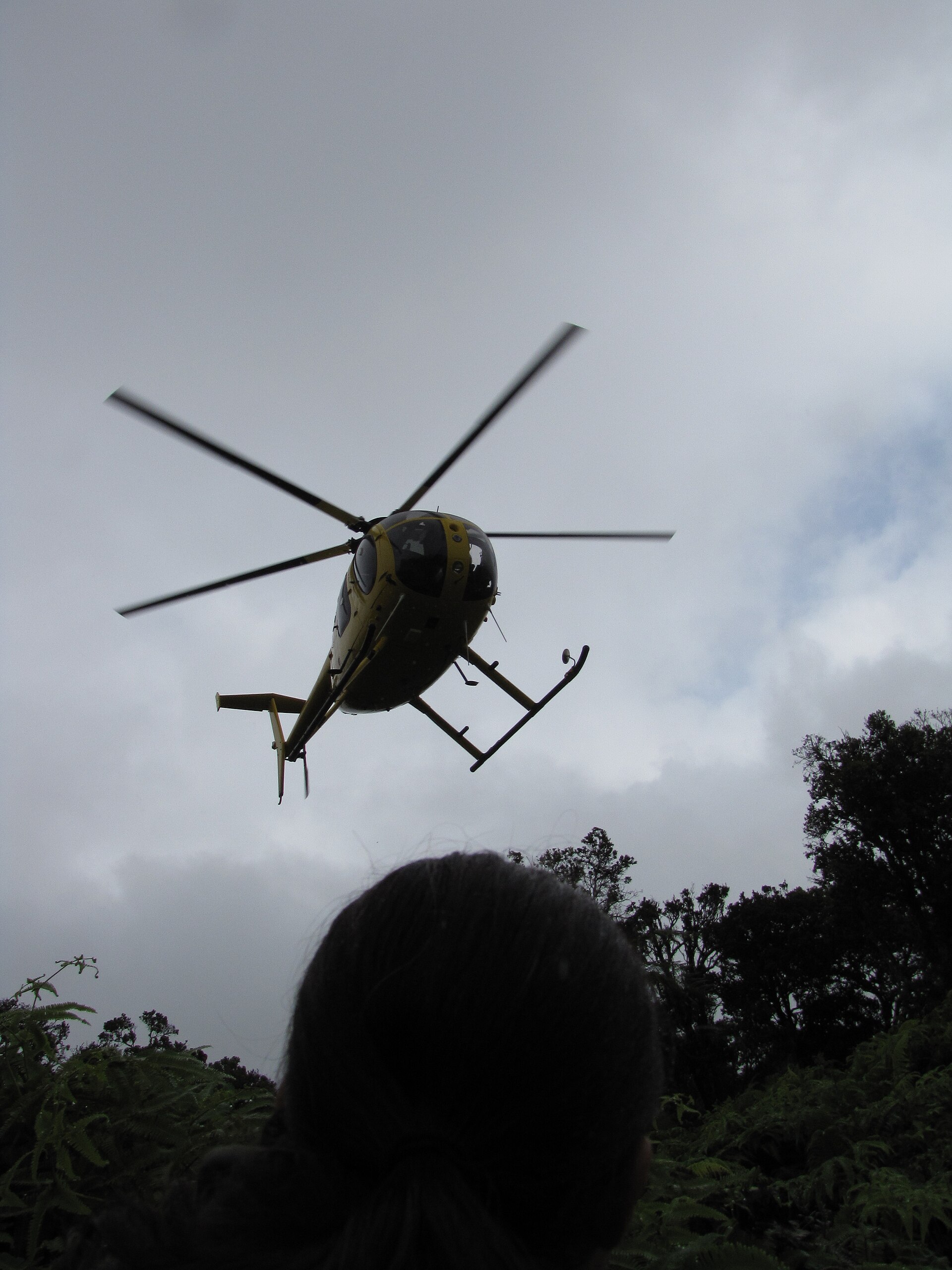 N58251 — Helicopter