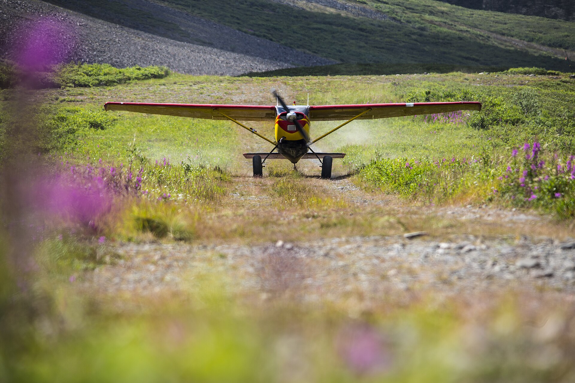 N8209U — Single-engine aircraft