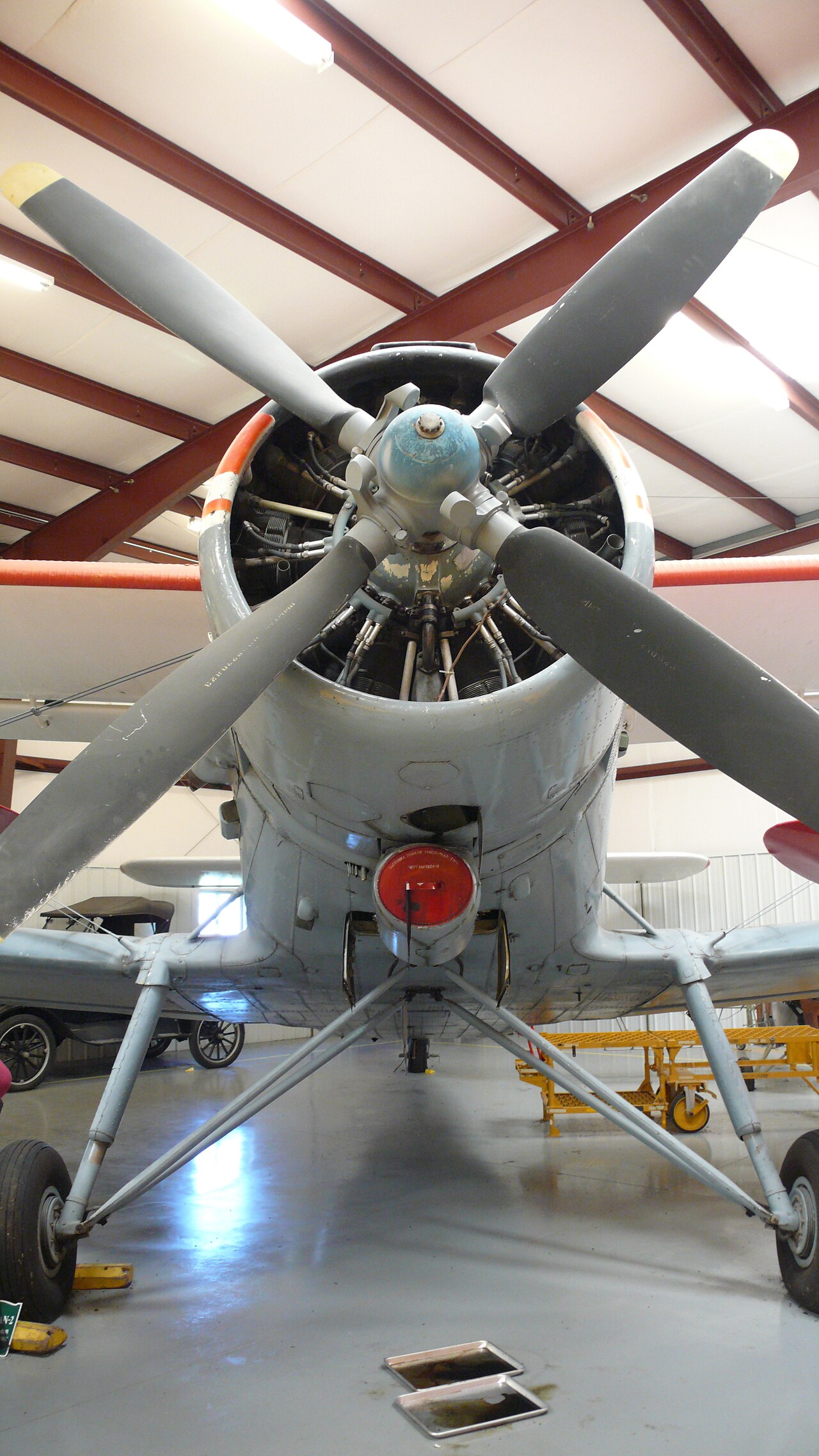 N147AS — Single-engine aircraft