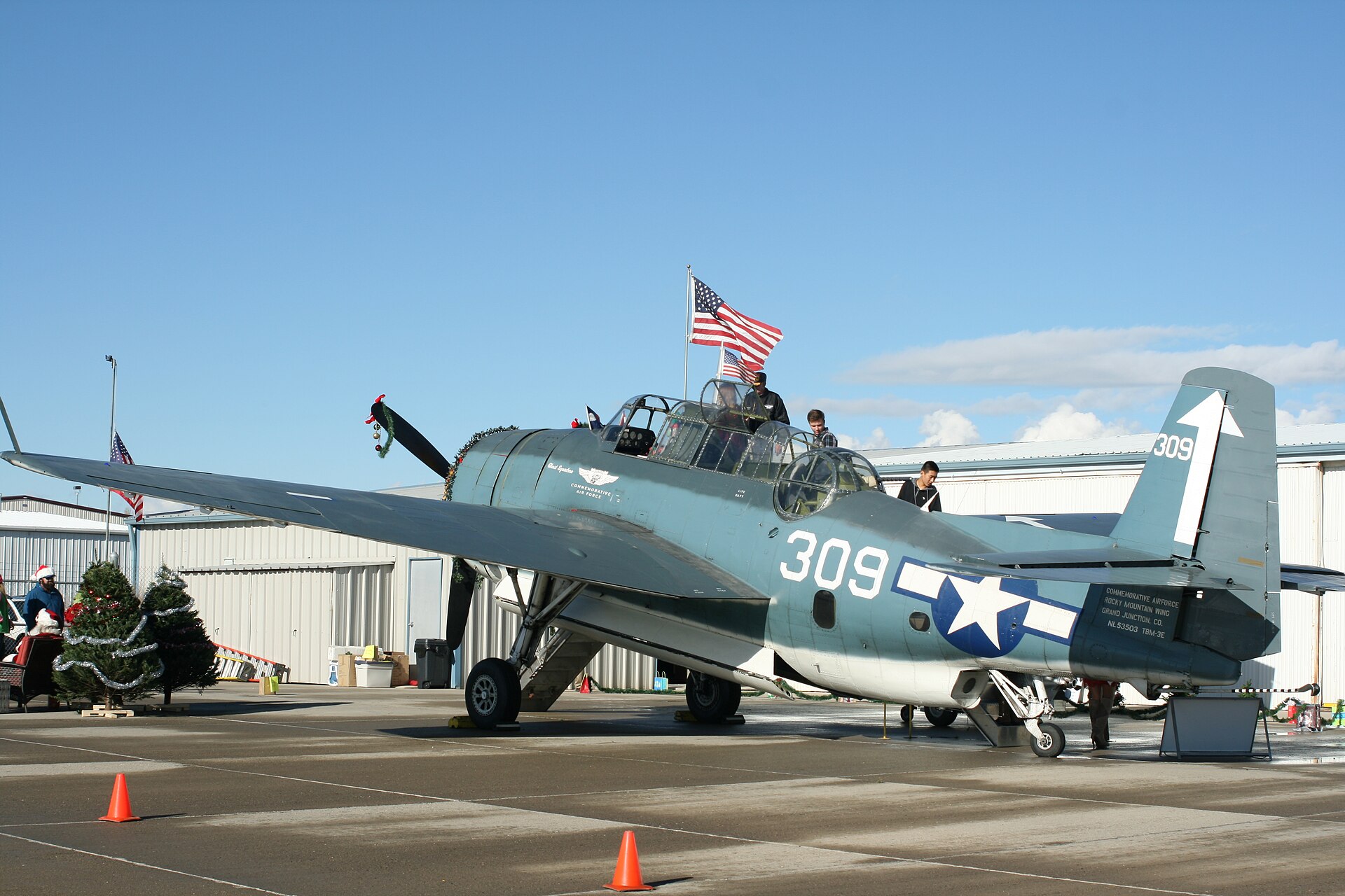 N53503 — Warbird