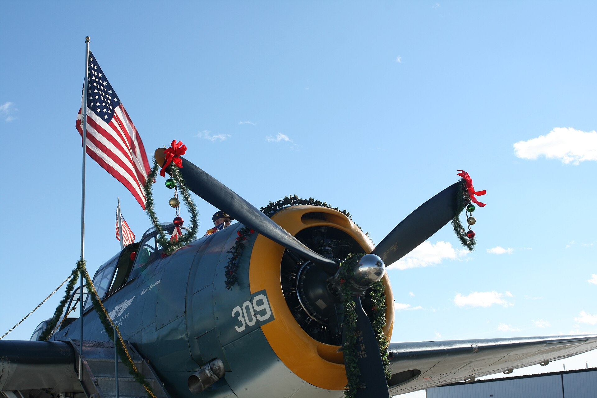 N53503 — Warbird