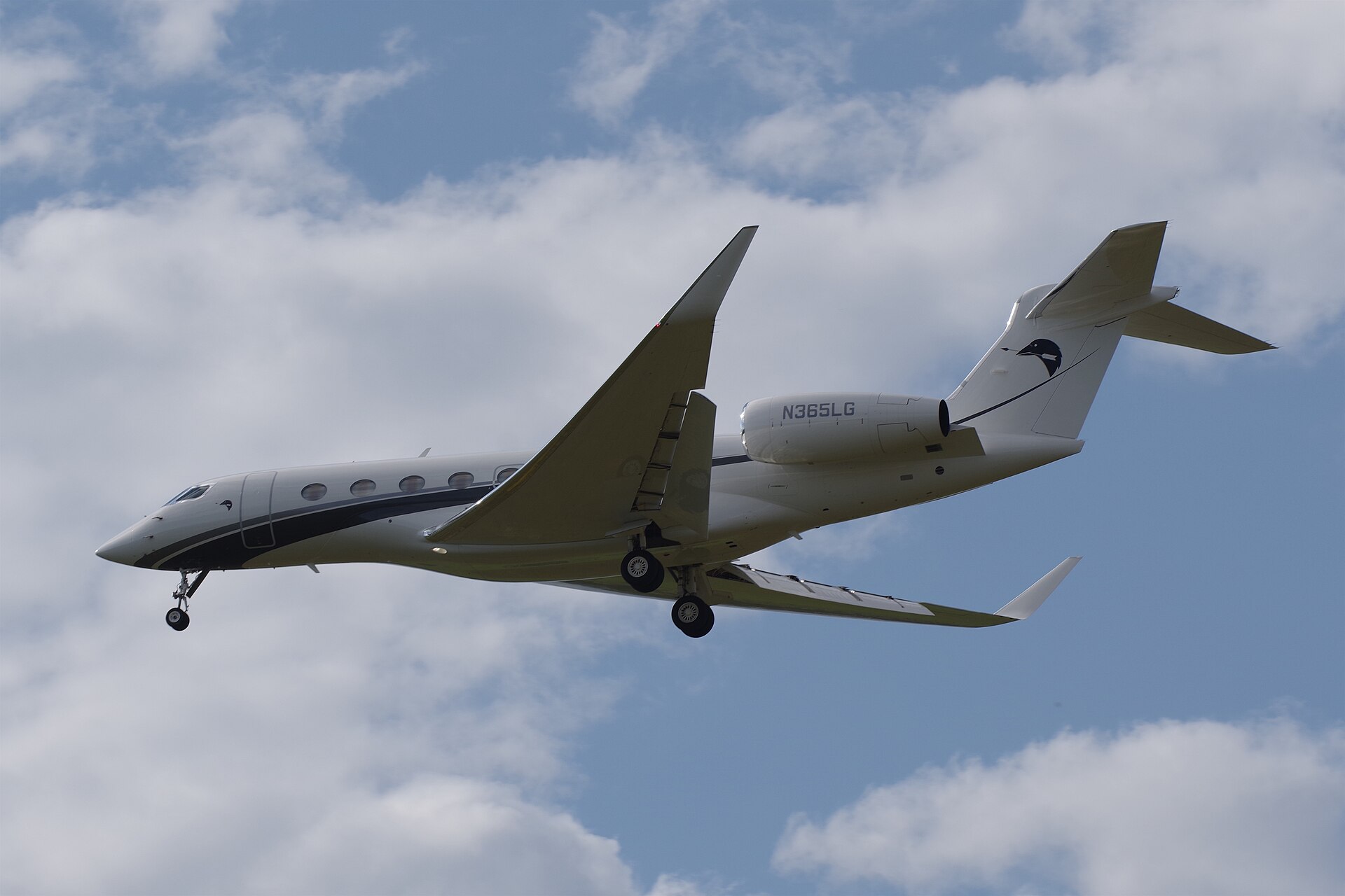 N365LG photo 2