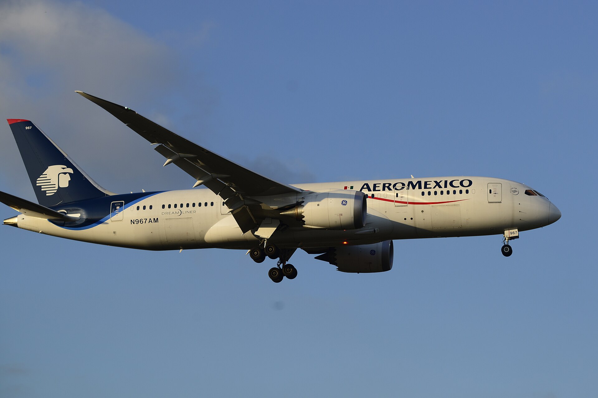 2014 Boeing 787-8 (N967AM)