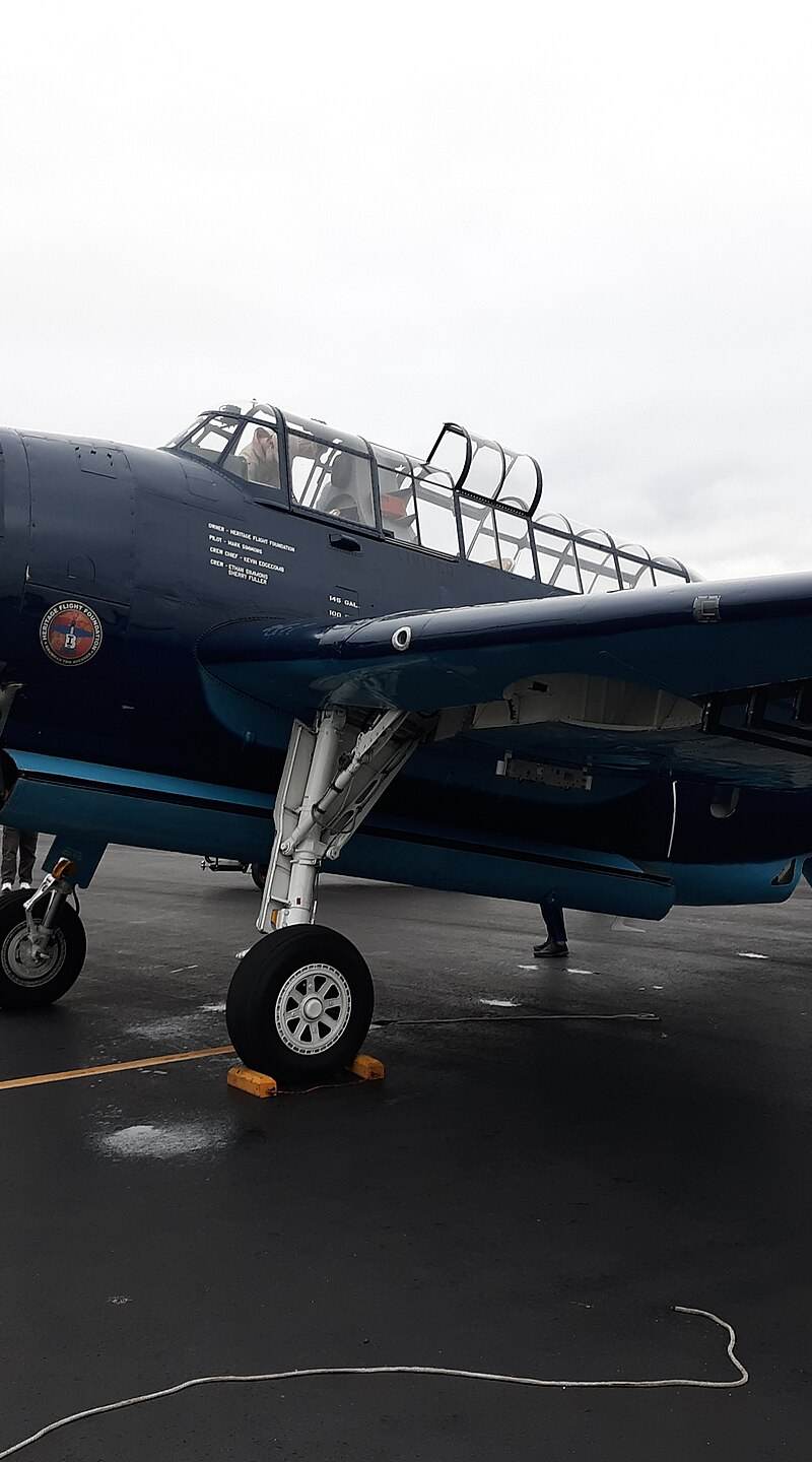 N85650 - Warbird