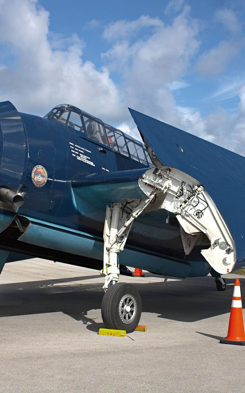N85650 - Warbird