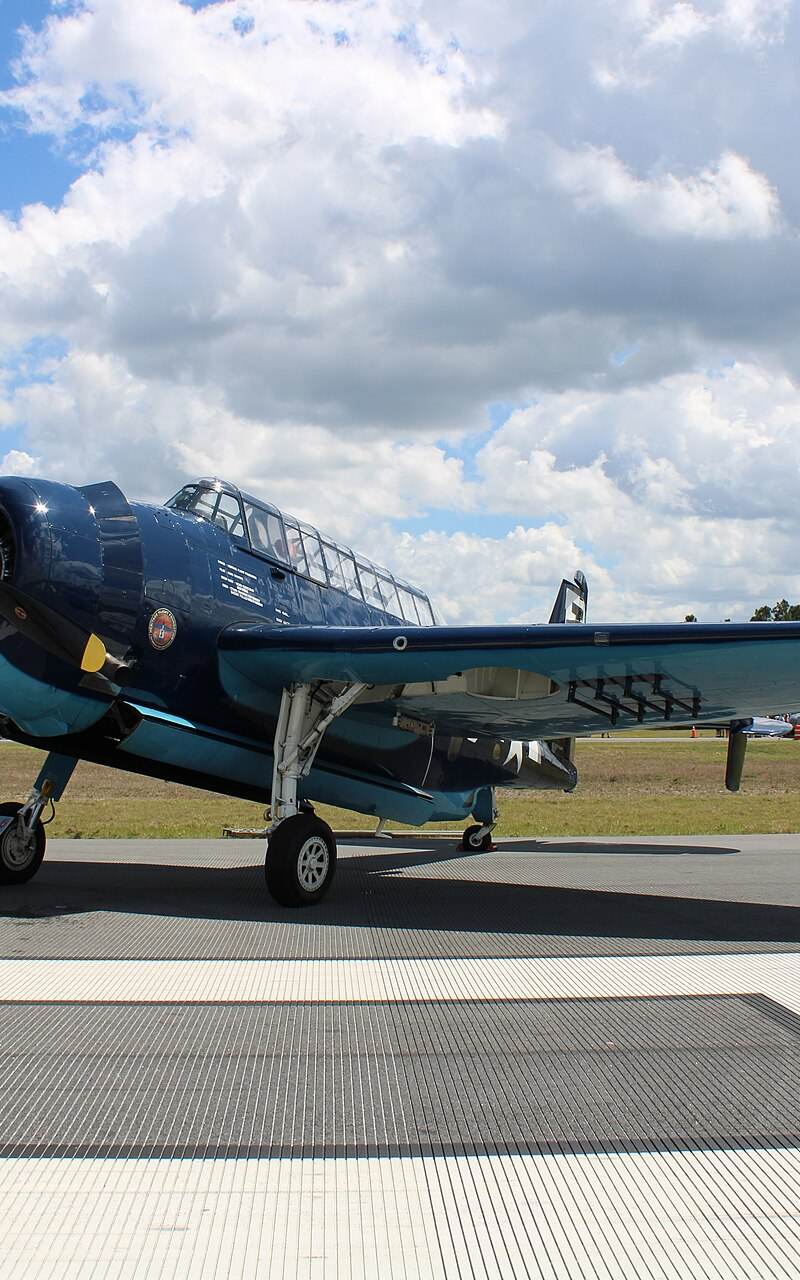 N85650 - Warbird