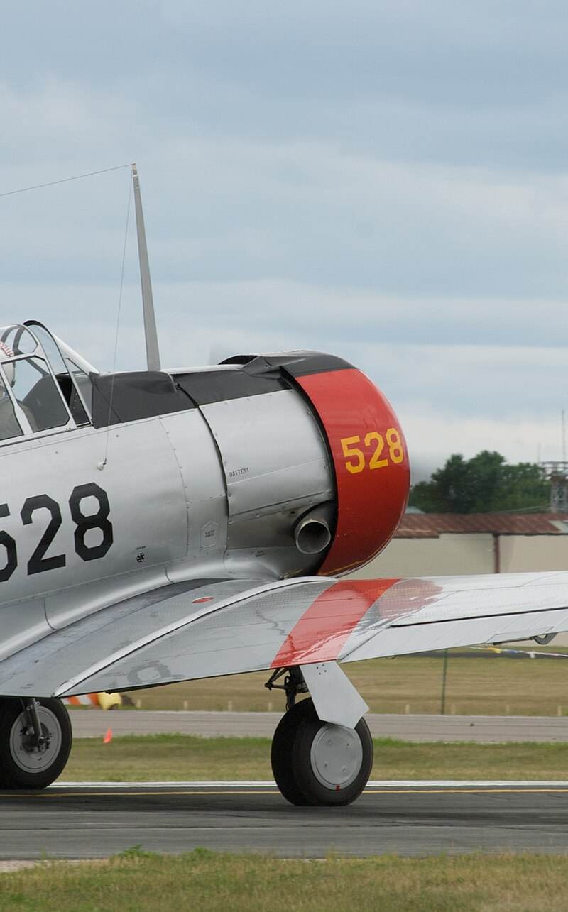 N85696 - Single-engine aircraft