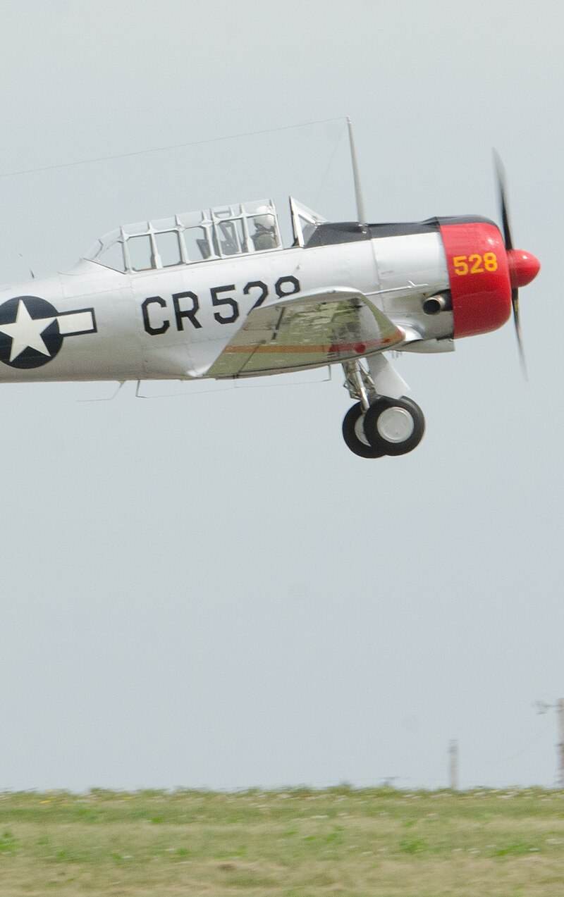 N85696 - Warbird