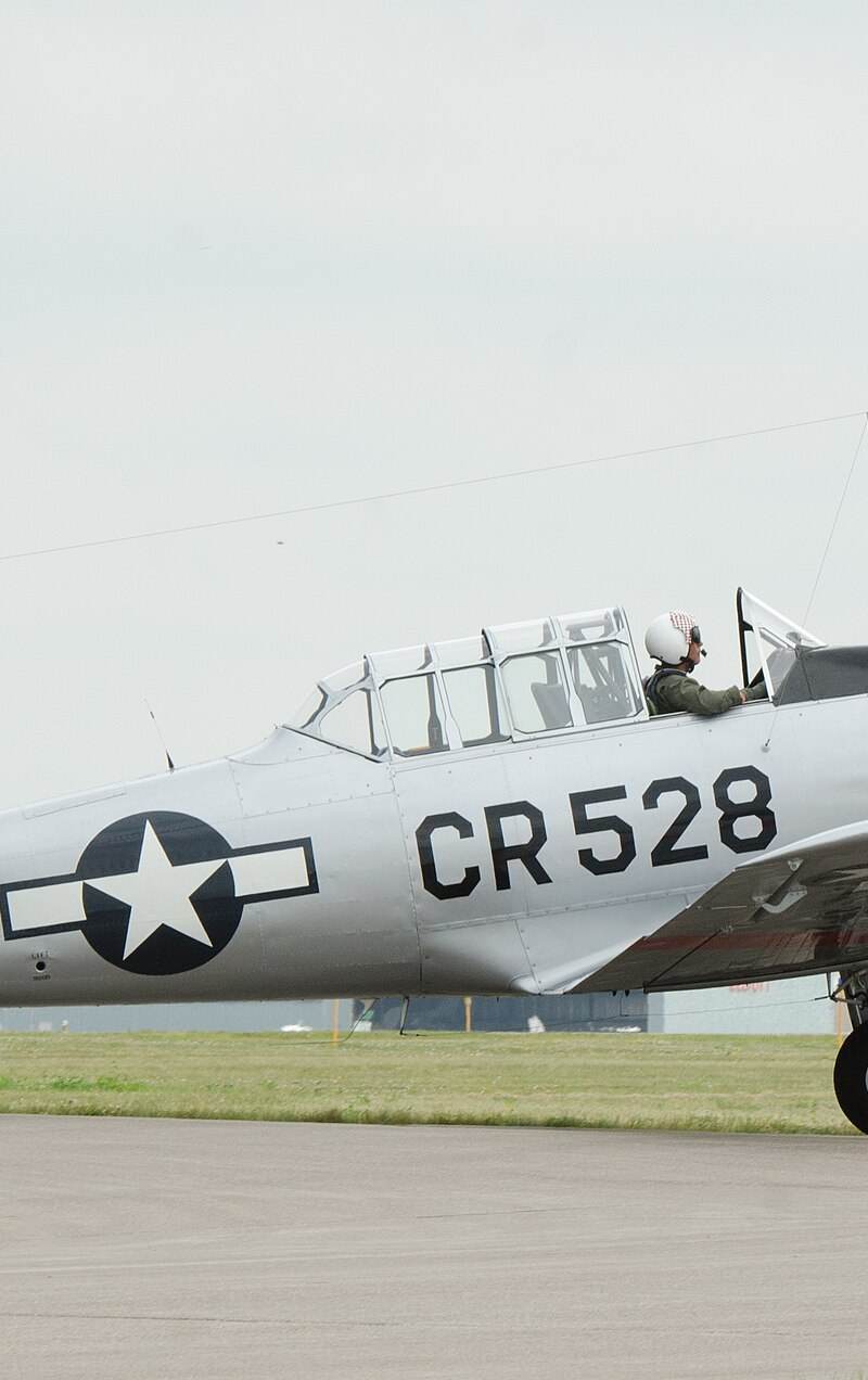 N85696 - Warbird